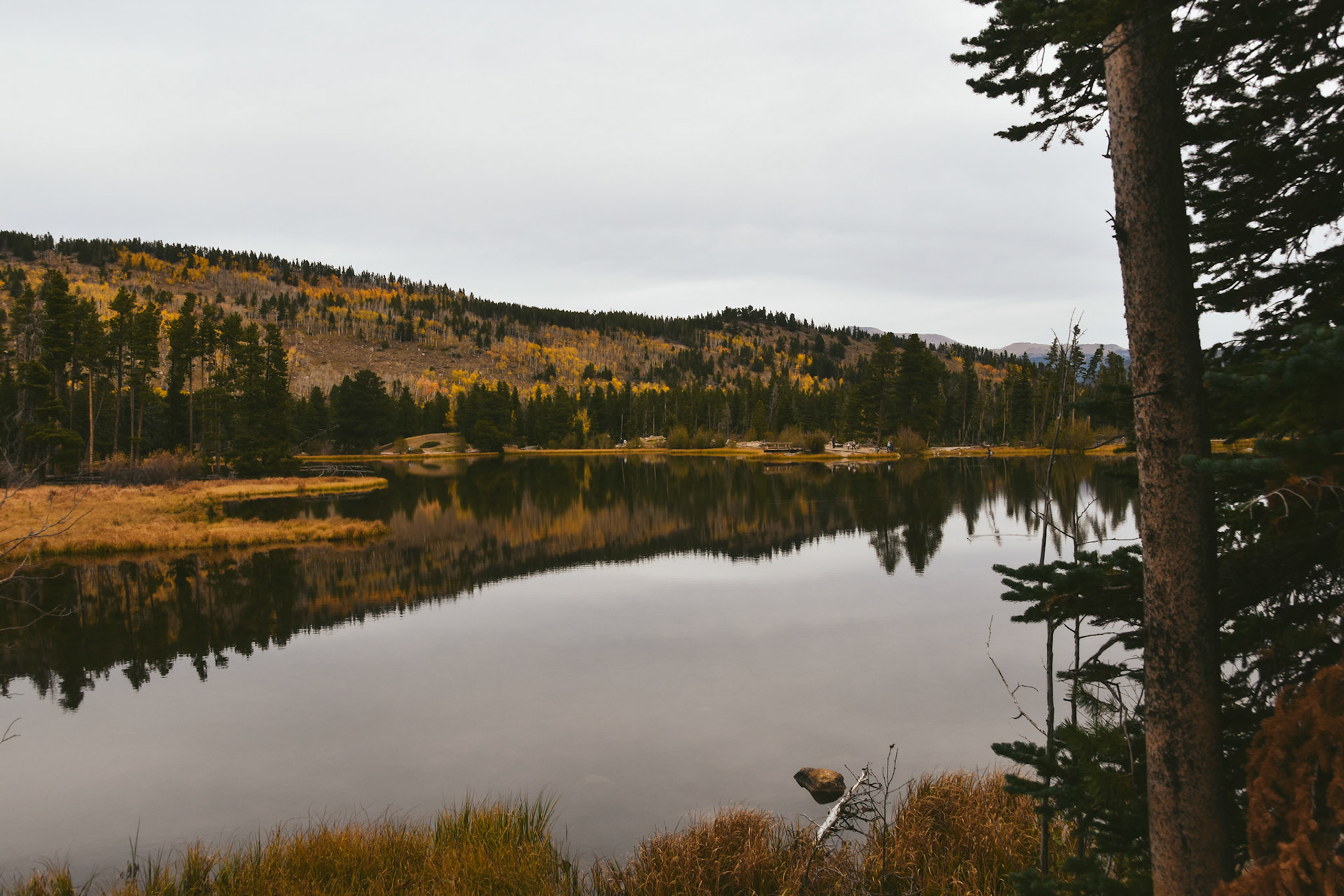 Rocky Mountain National Park, Colorado; October 2024