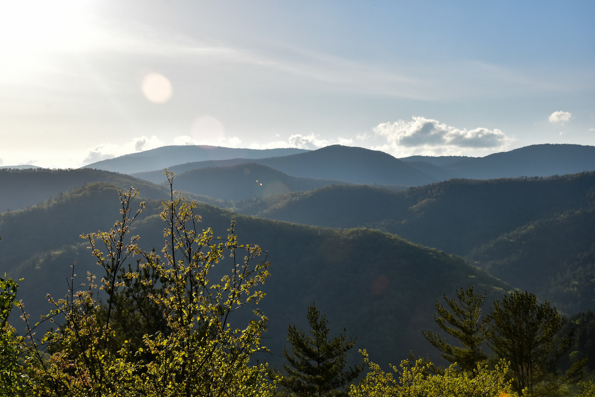 Great Smoky Mountains National Park, TN; May 2022