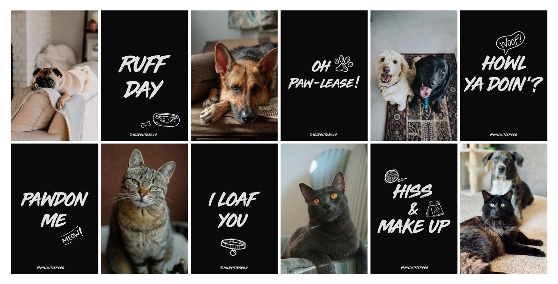 Raskal Studios, Wild Sitters Brand Identity, Visuals