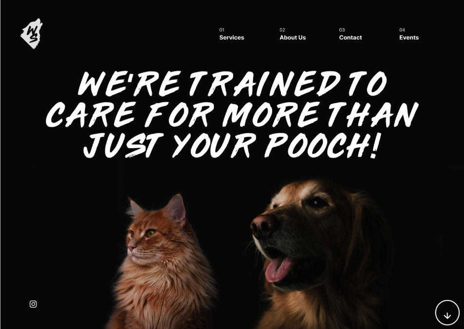 Raskal Studios, Wild Sitters Brand Identity, Website