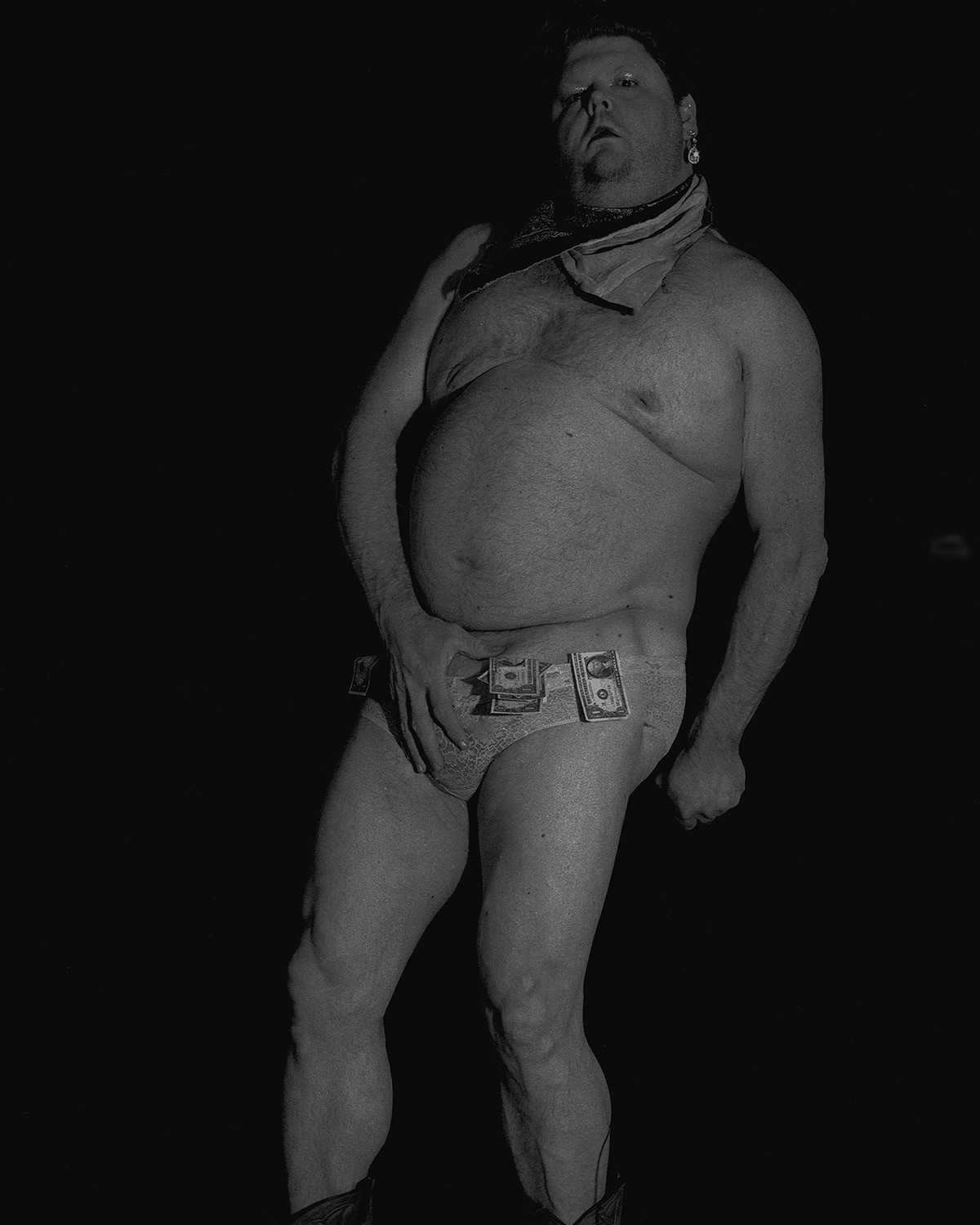 California Golden Bear