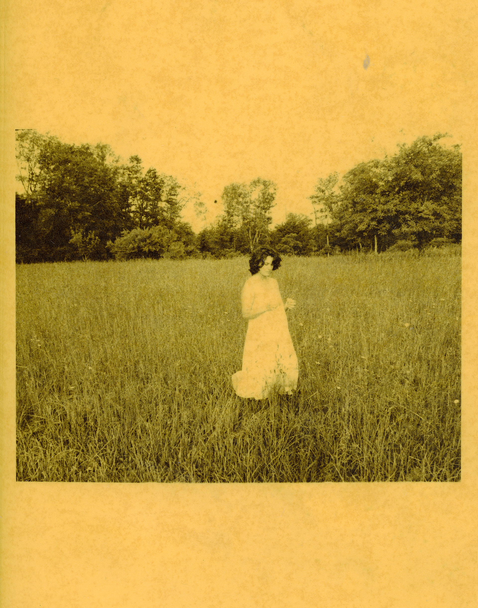 fields of gold