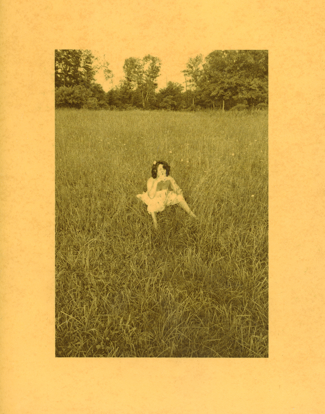 fields of gold