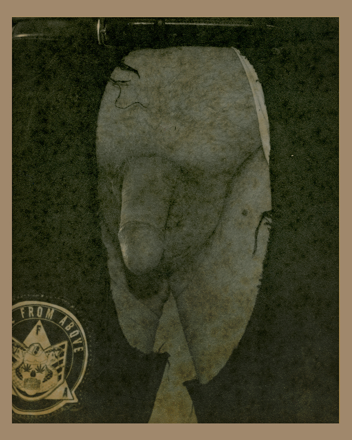 Dallas Does Danni  (caffenol)