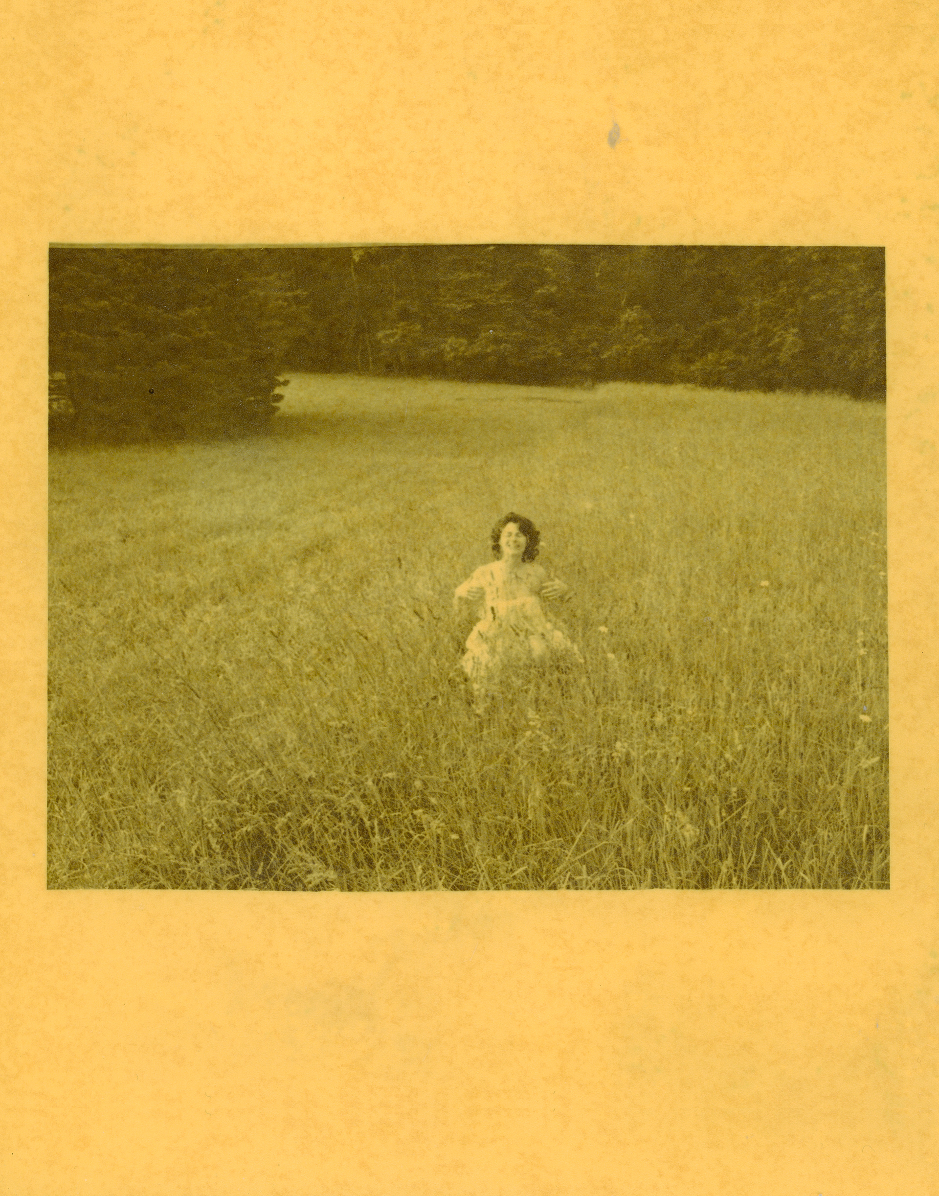 fields of gold