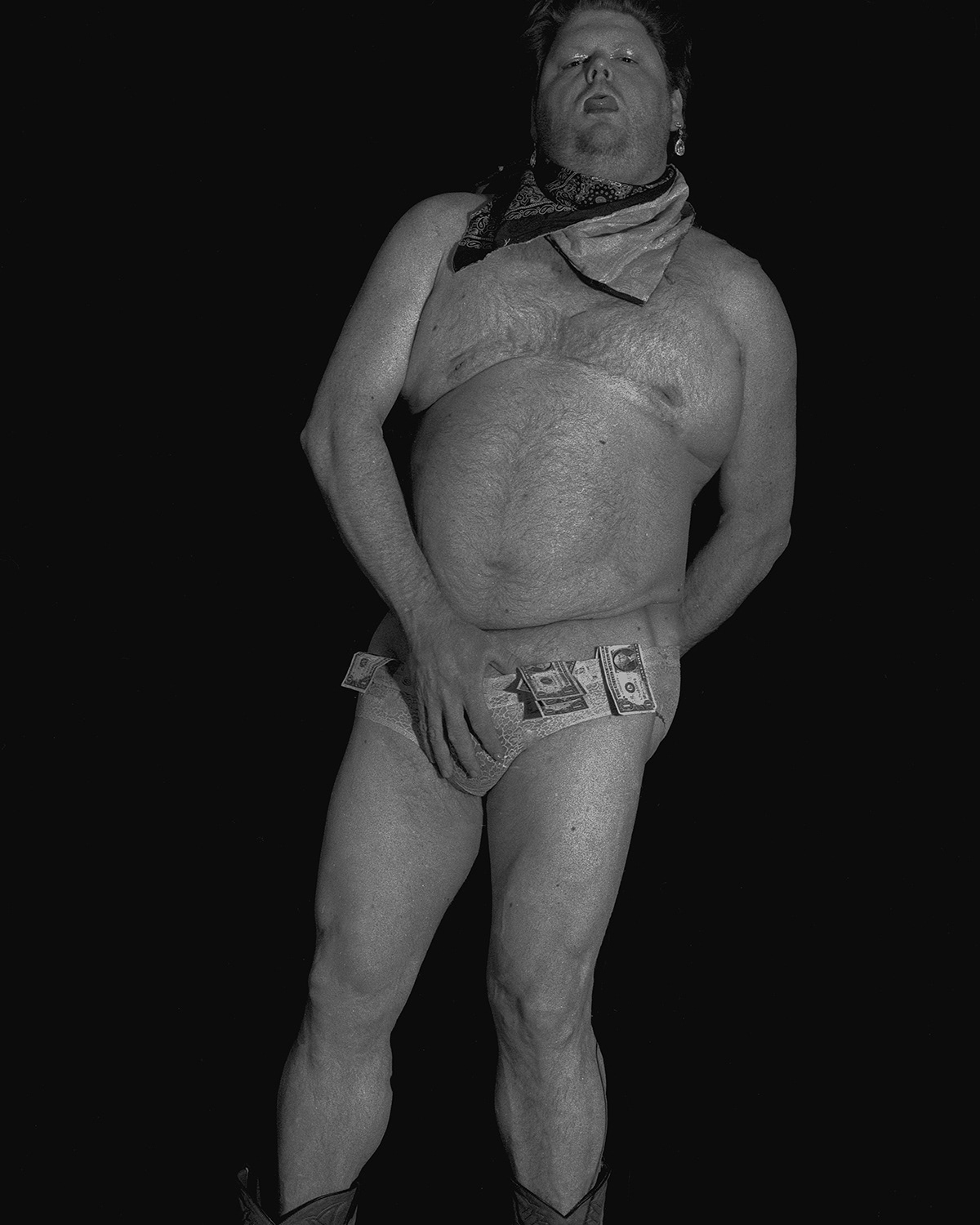 California Golden Bear