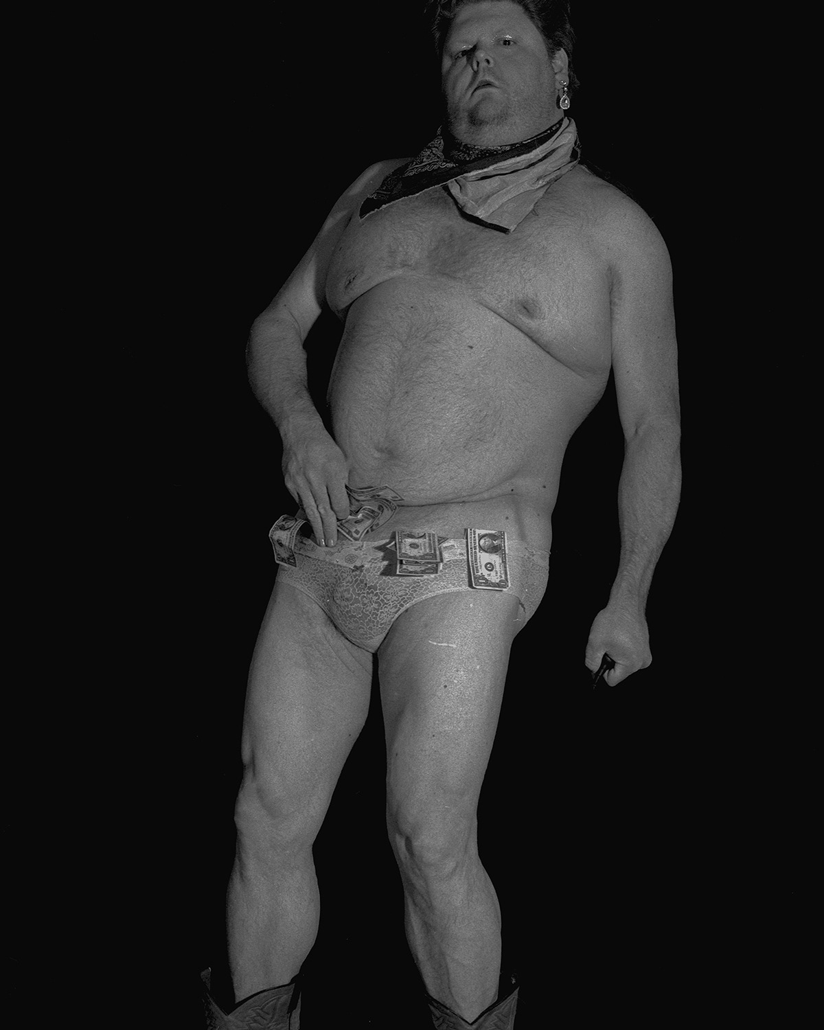 California Golden Bear