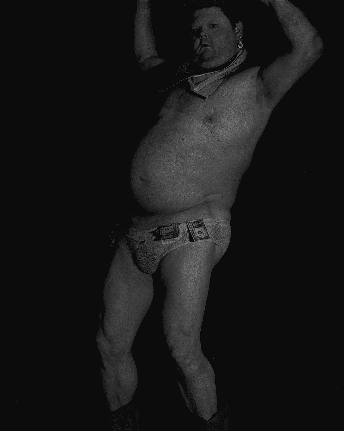 California Golden Bear