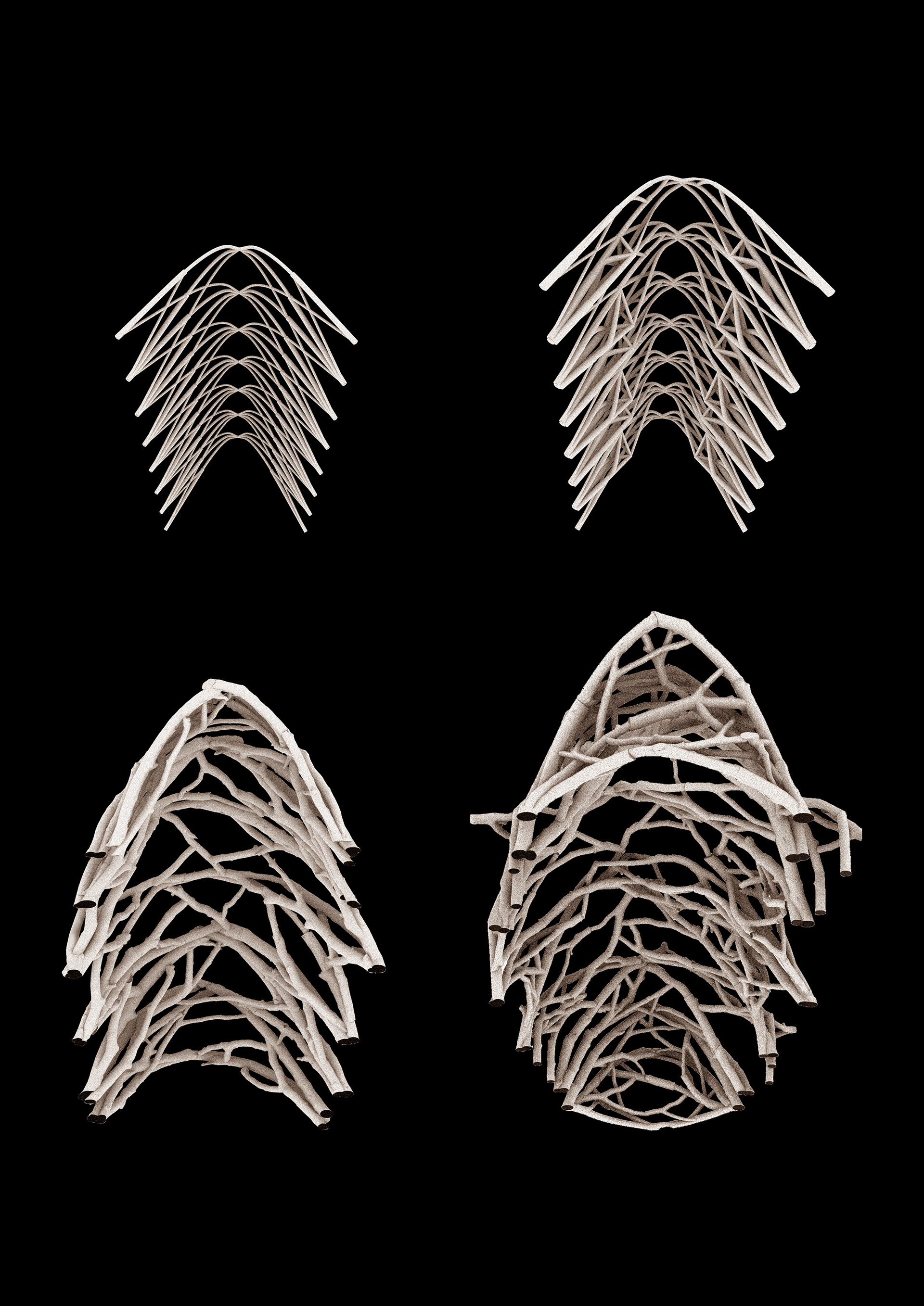 The Four Structure Prototypes
