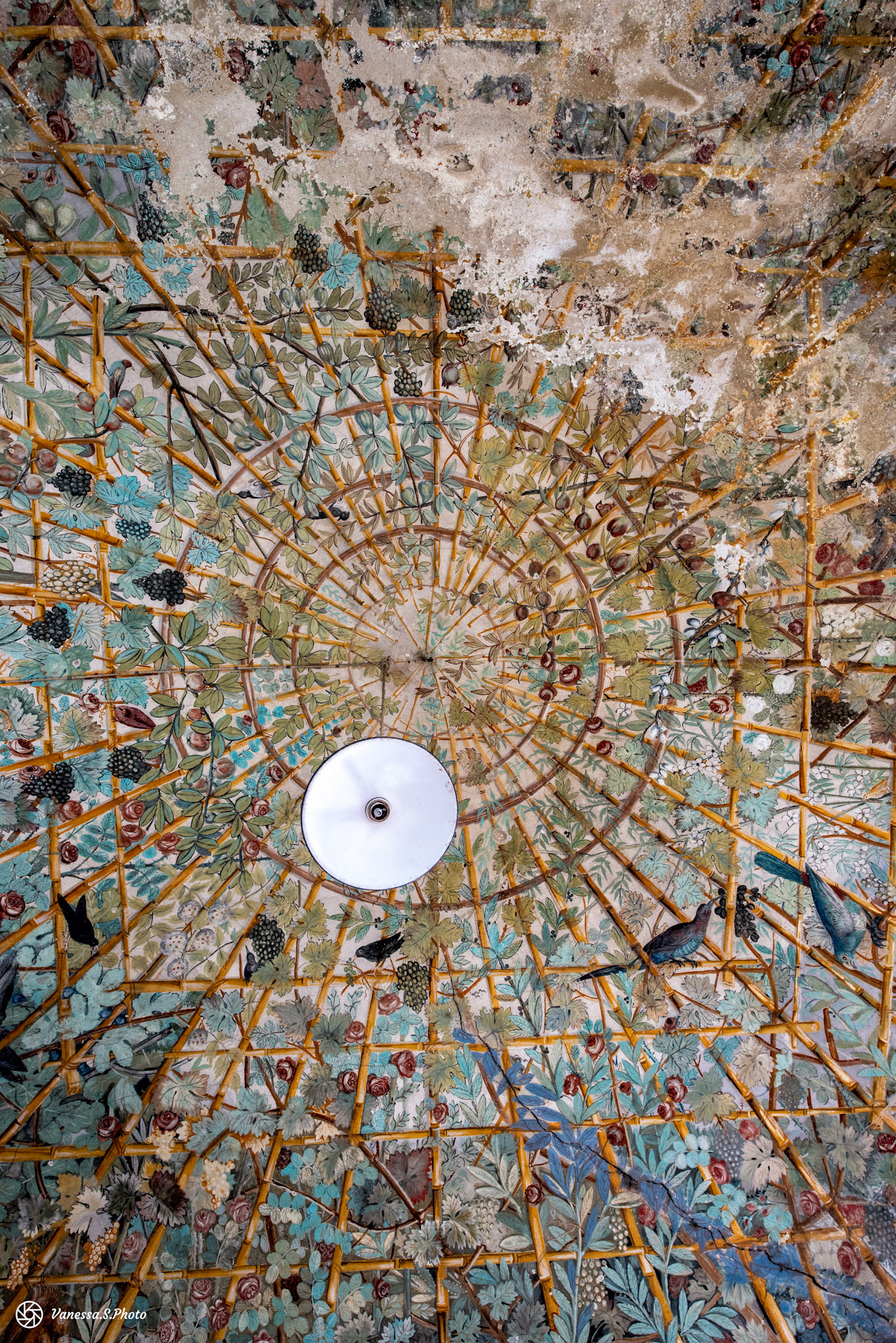 La très belle fresque du plafond de la salle de cours