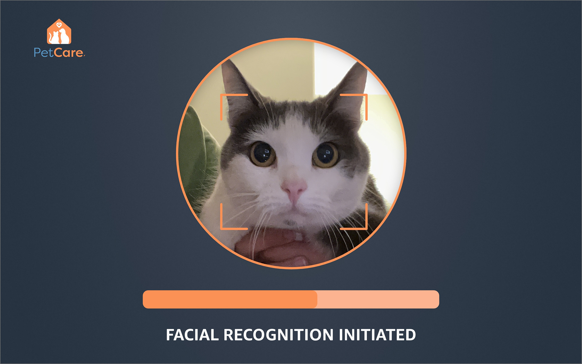 Facial Recognition