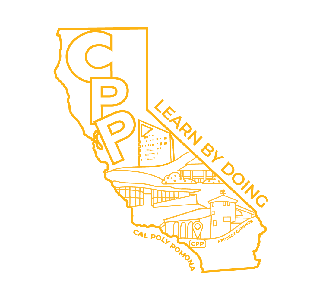 T-Shirt Design