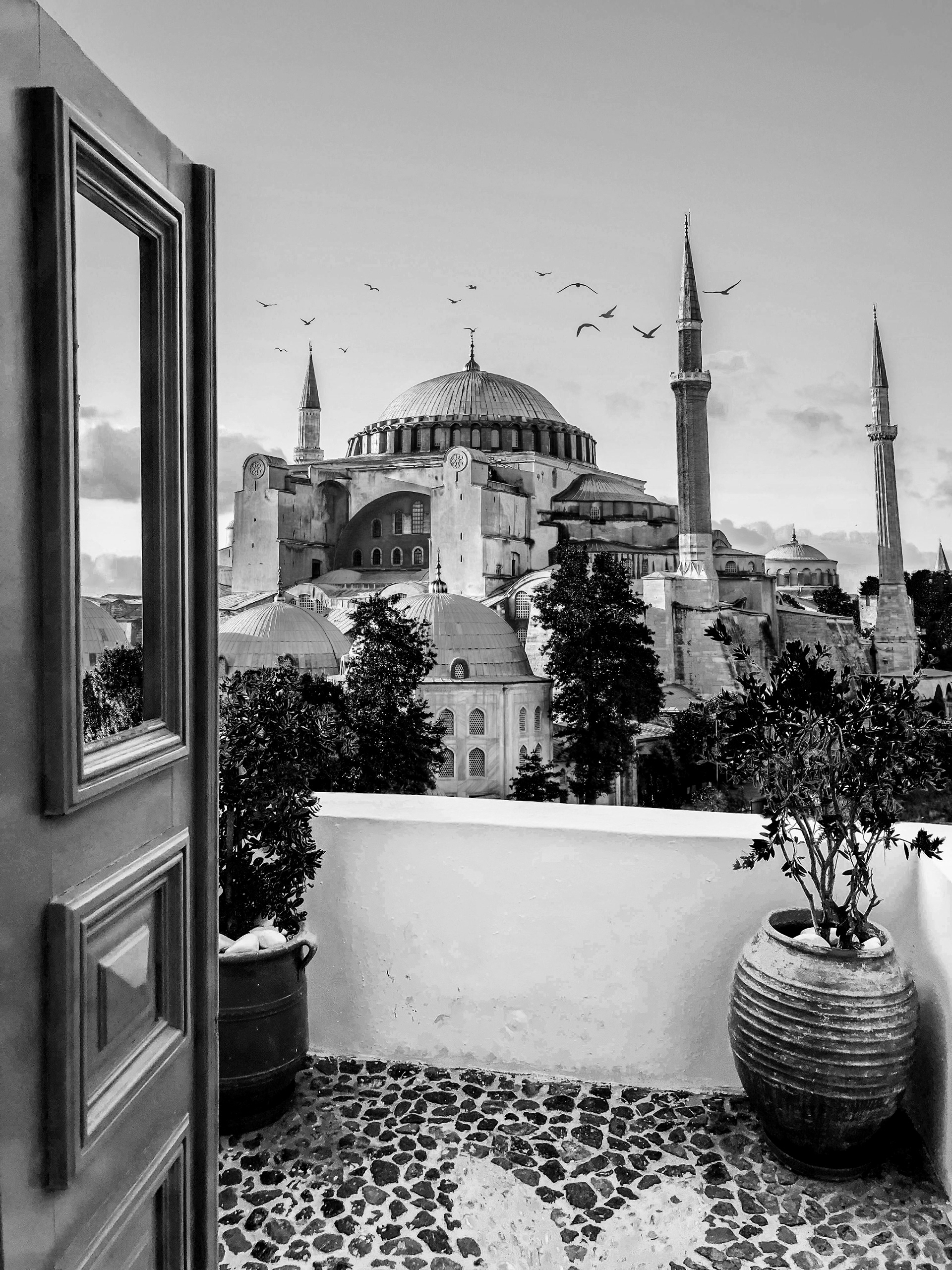 Photo by Hasan AKBAŞ © All Rights Reserved.