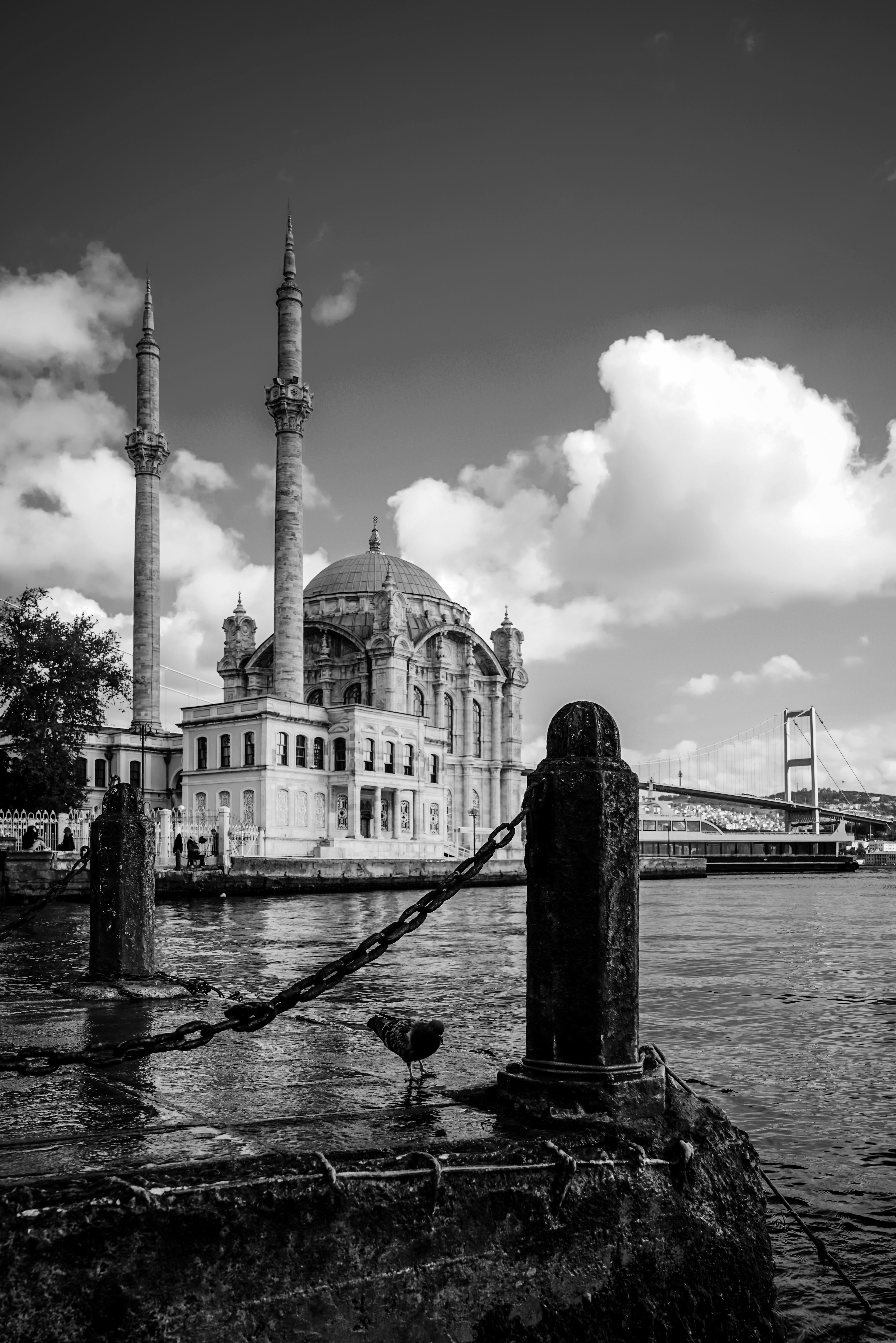 Photo by Hasan AKBAŞ © All Rights Reserved.