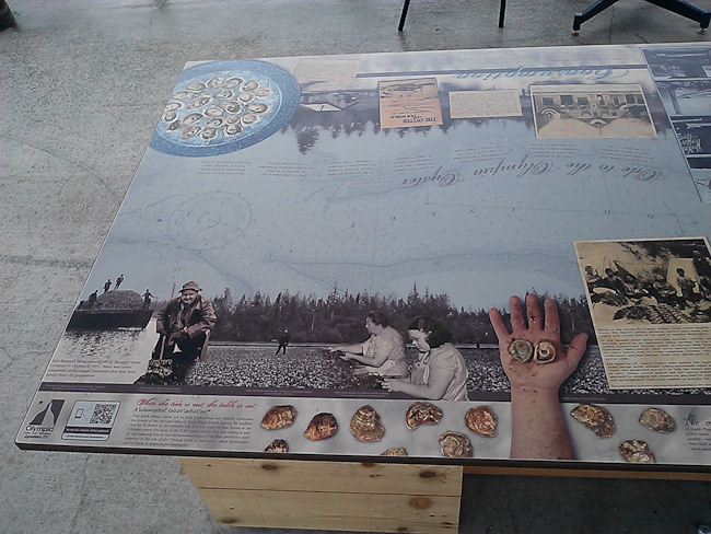 Outdoor Displays