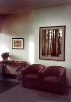 Professional Office
