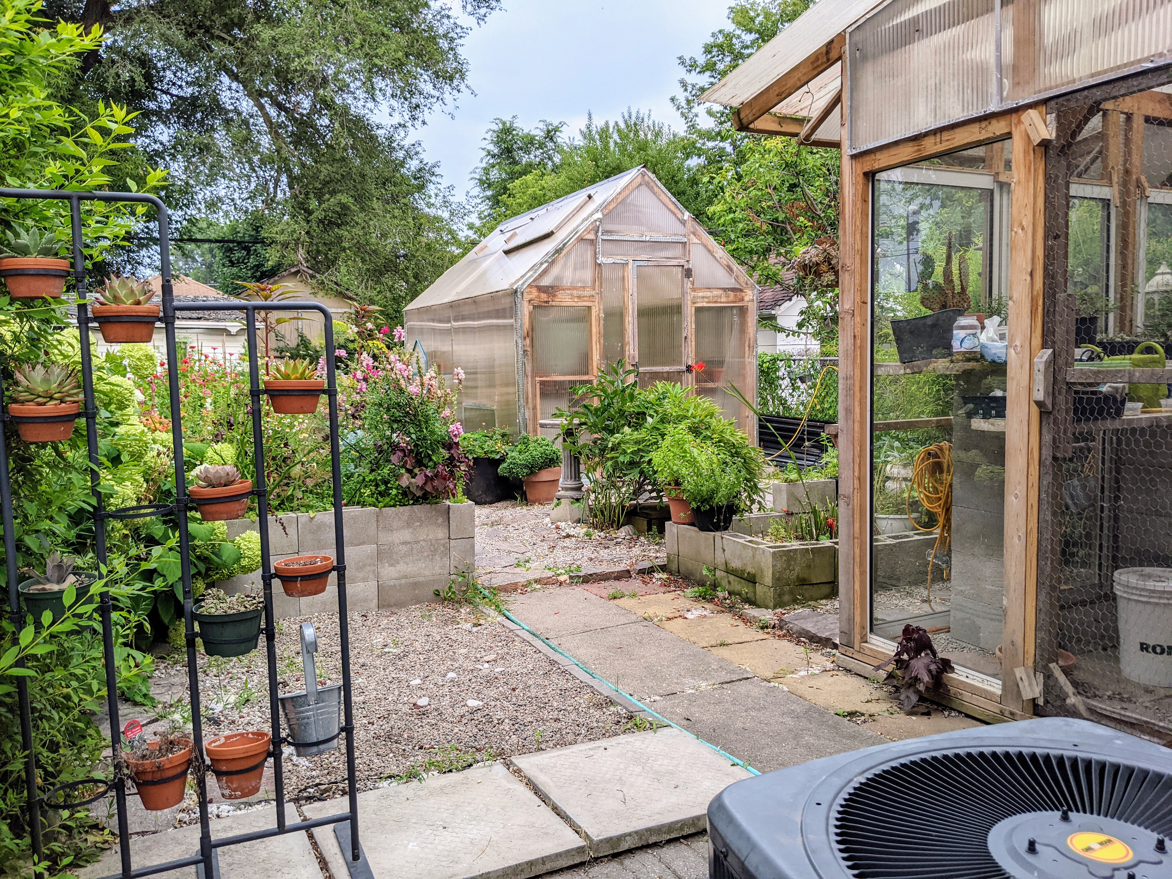 Backyard at 53 Sixteenth Street, New Toronto, Toronto