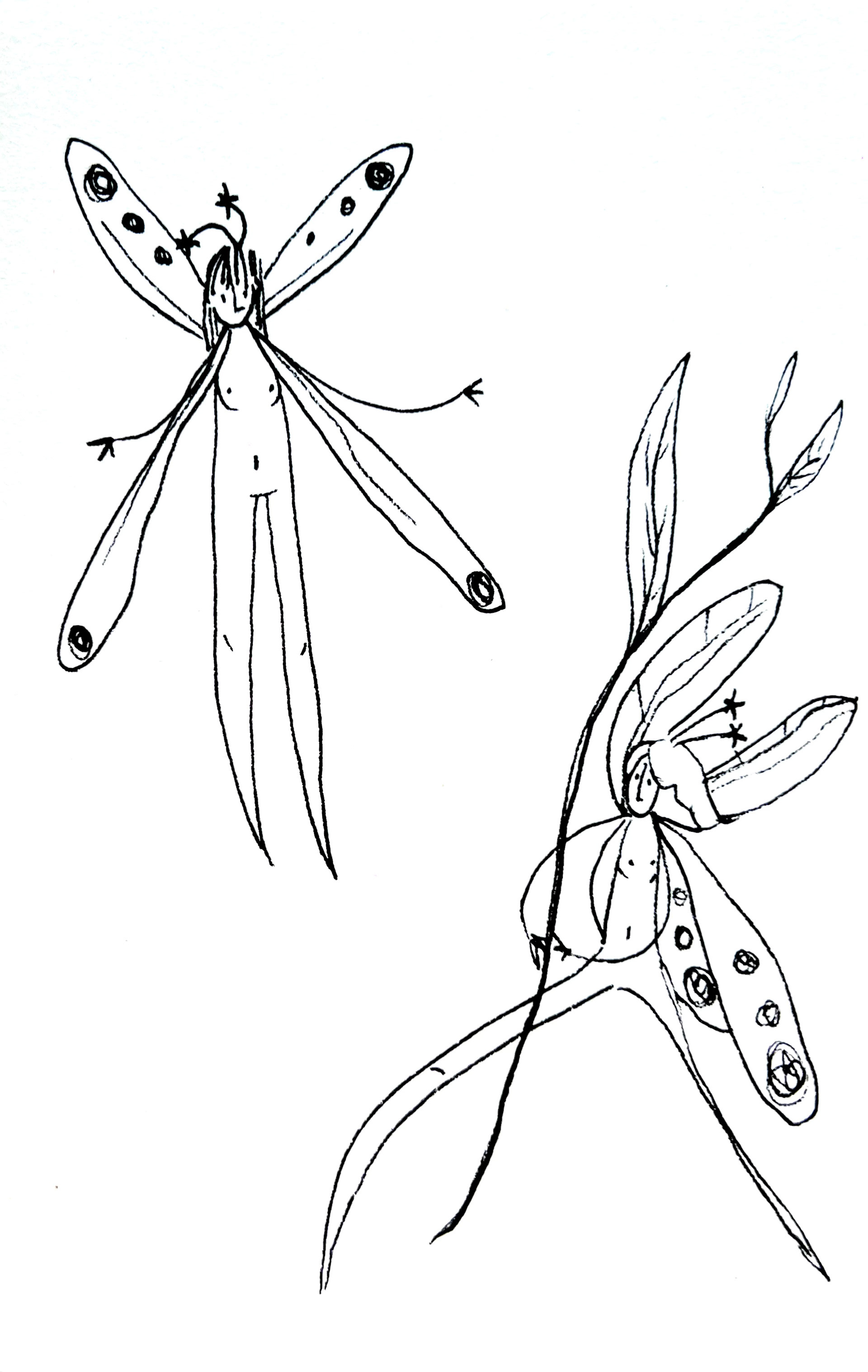 Fairies