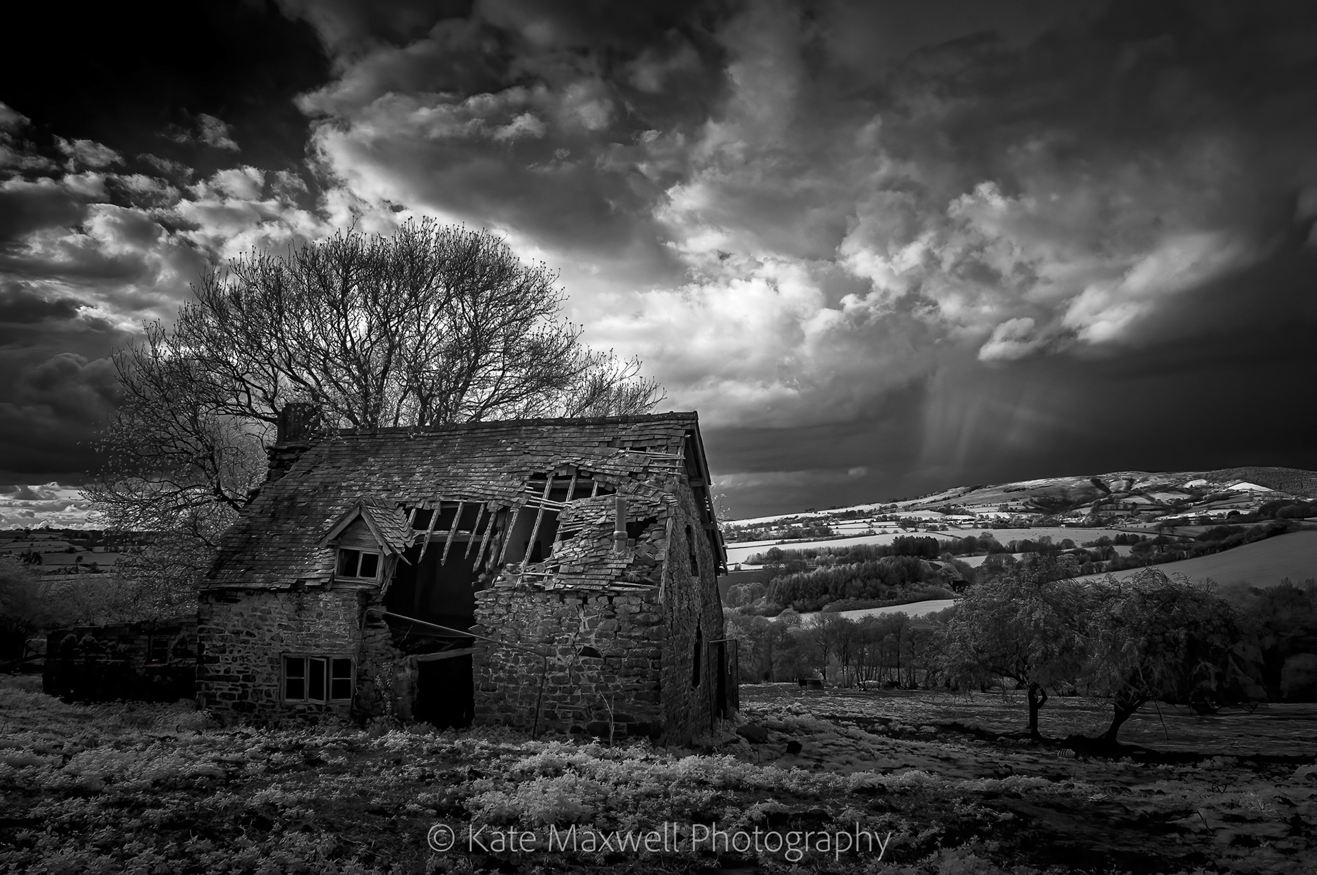 Abandoned cottage on the Clee