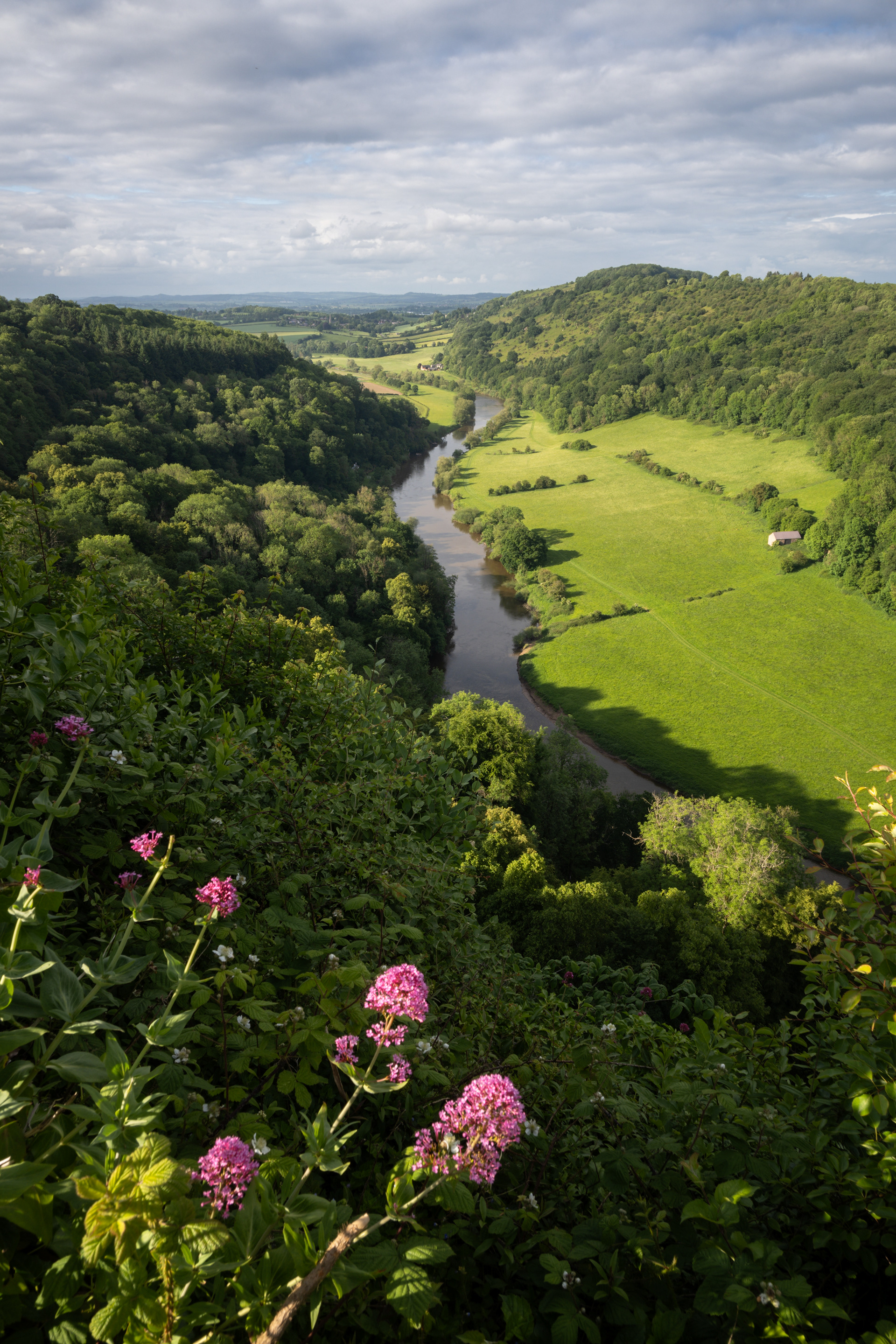 Symonds yat
