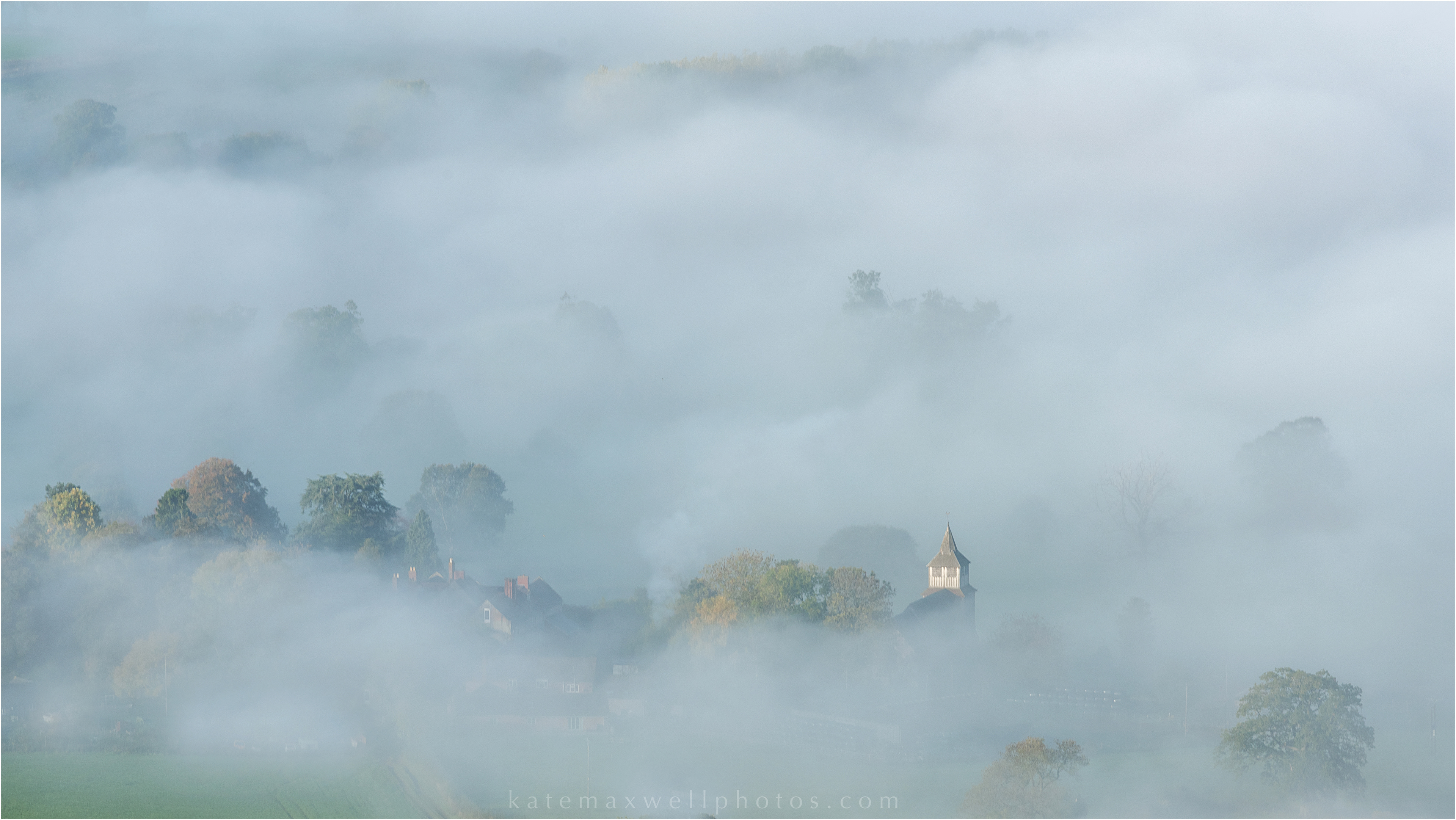 Bitterly in the mist
