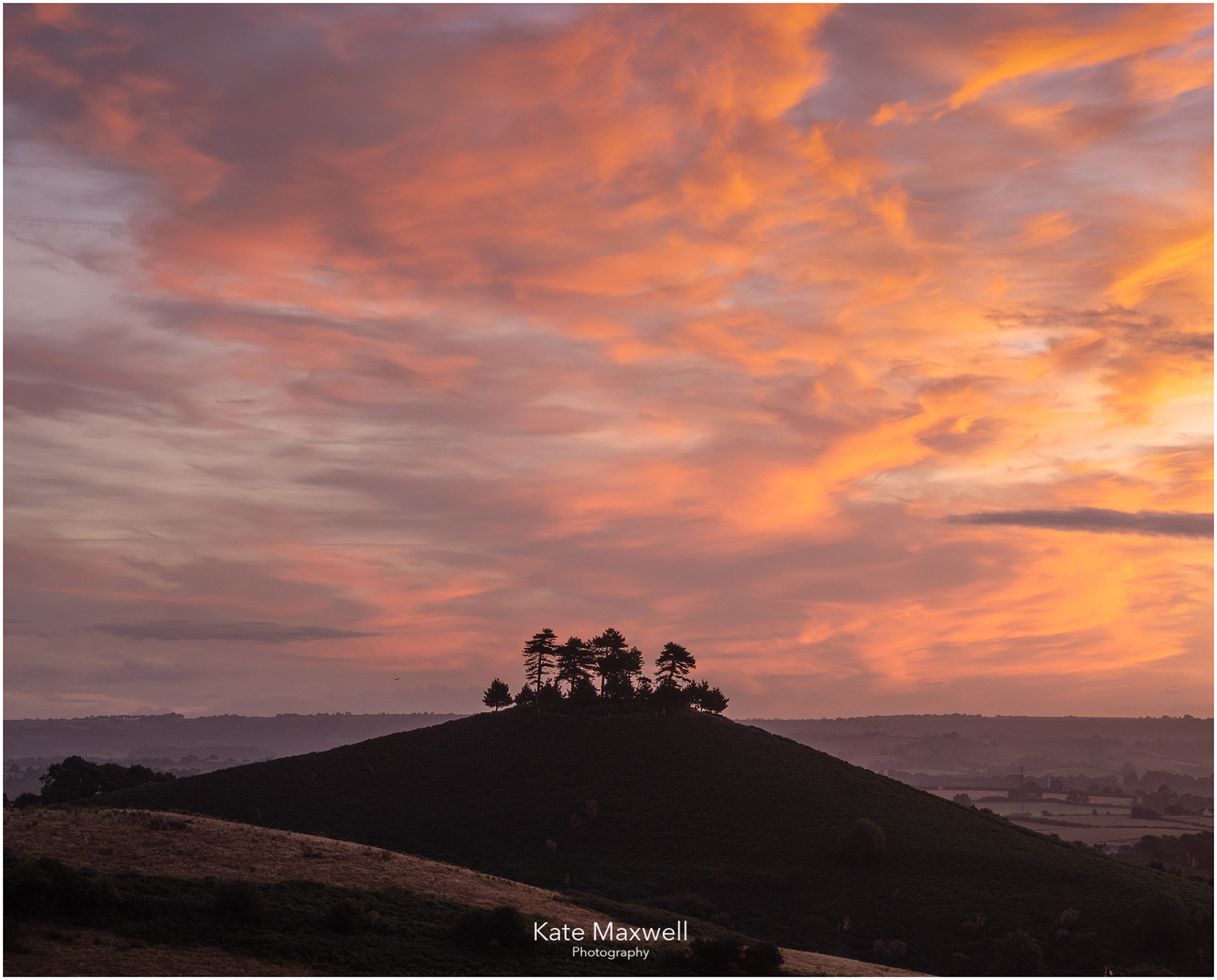 Colmer's Hill. Dorset