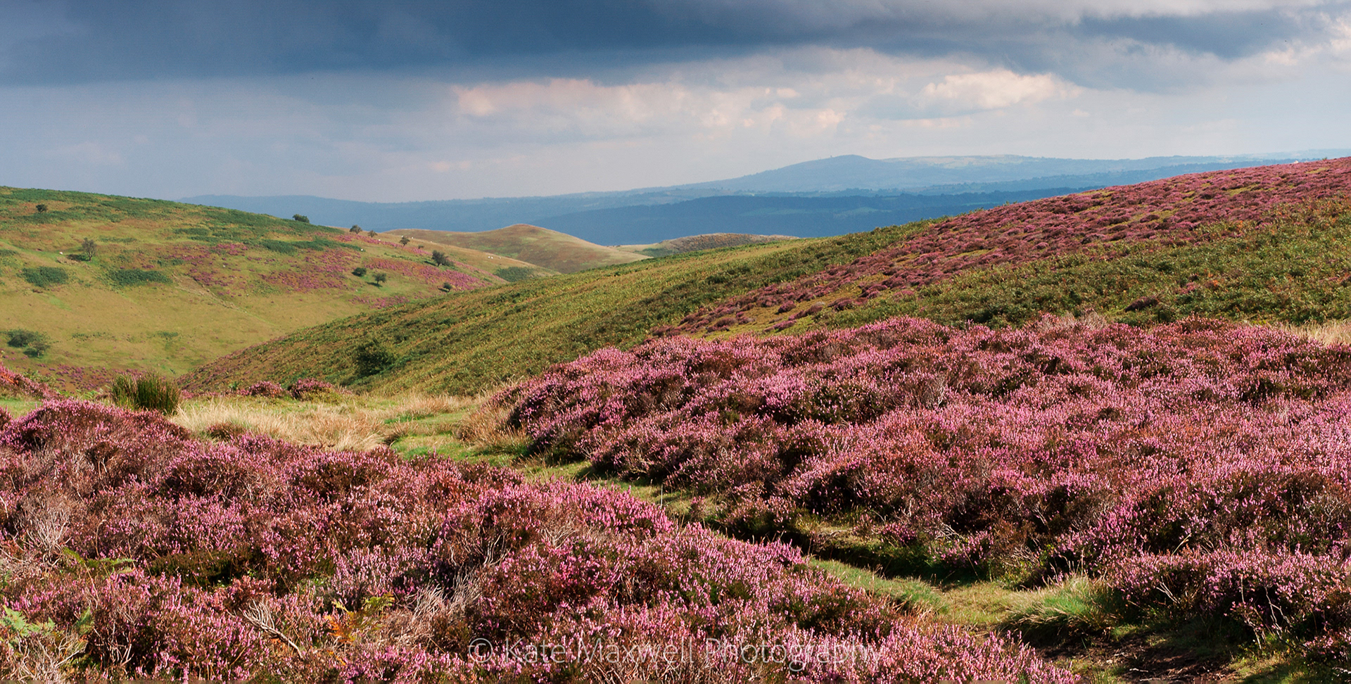 Summer on the Mynd