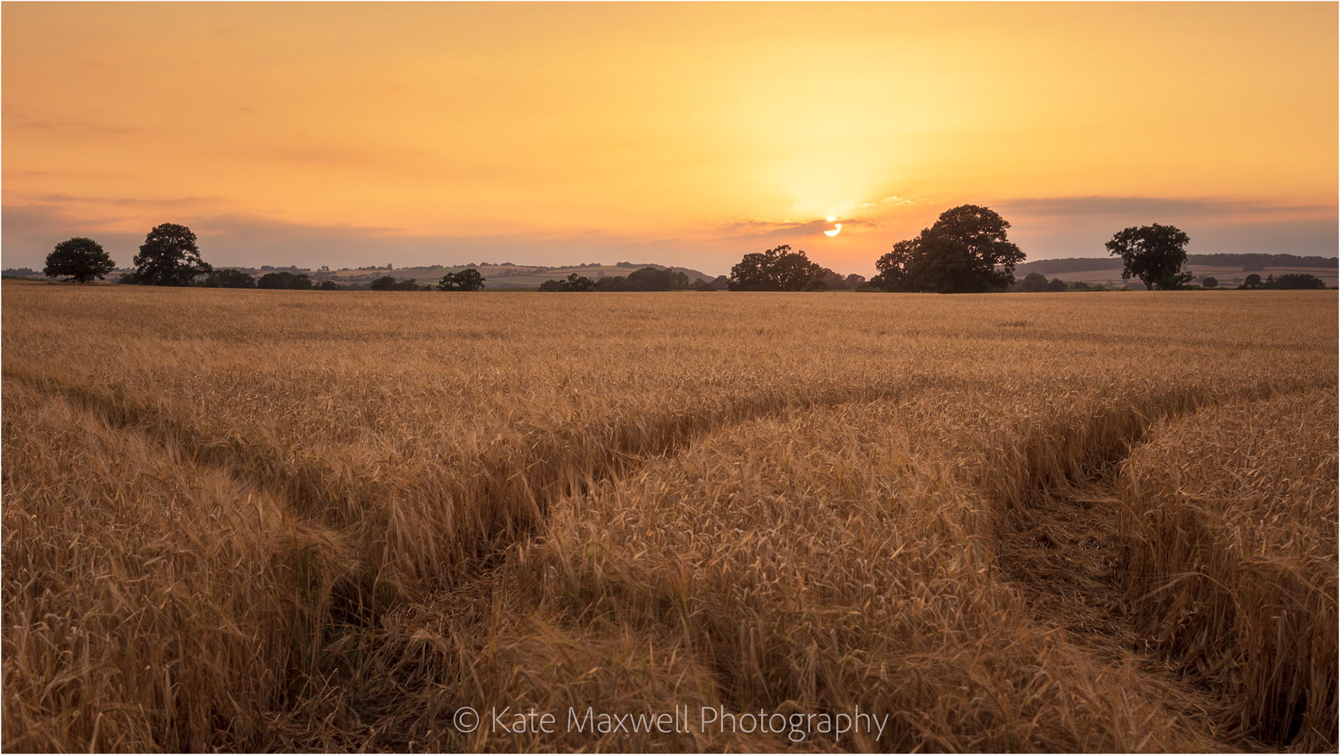 Dying days of summer