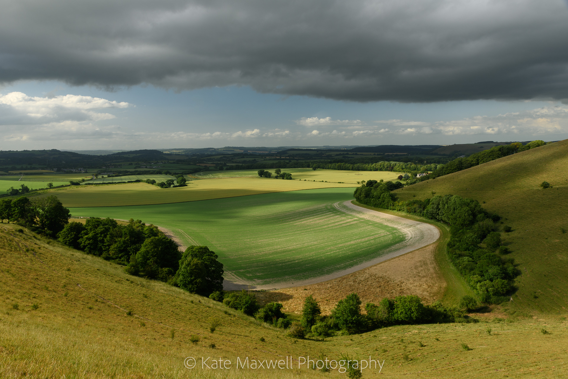 Cranbourne Chase, Dorset