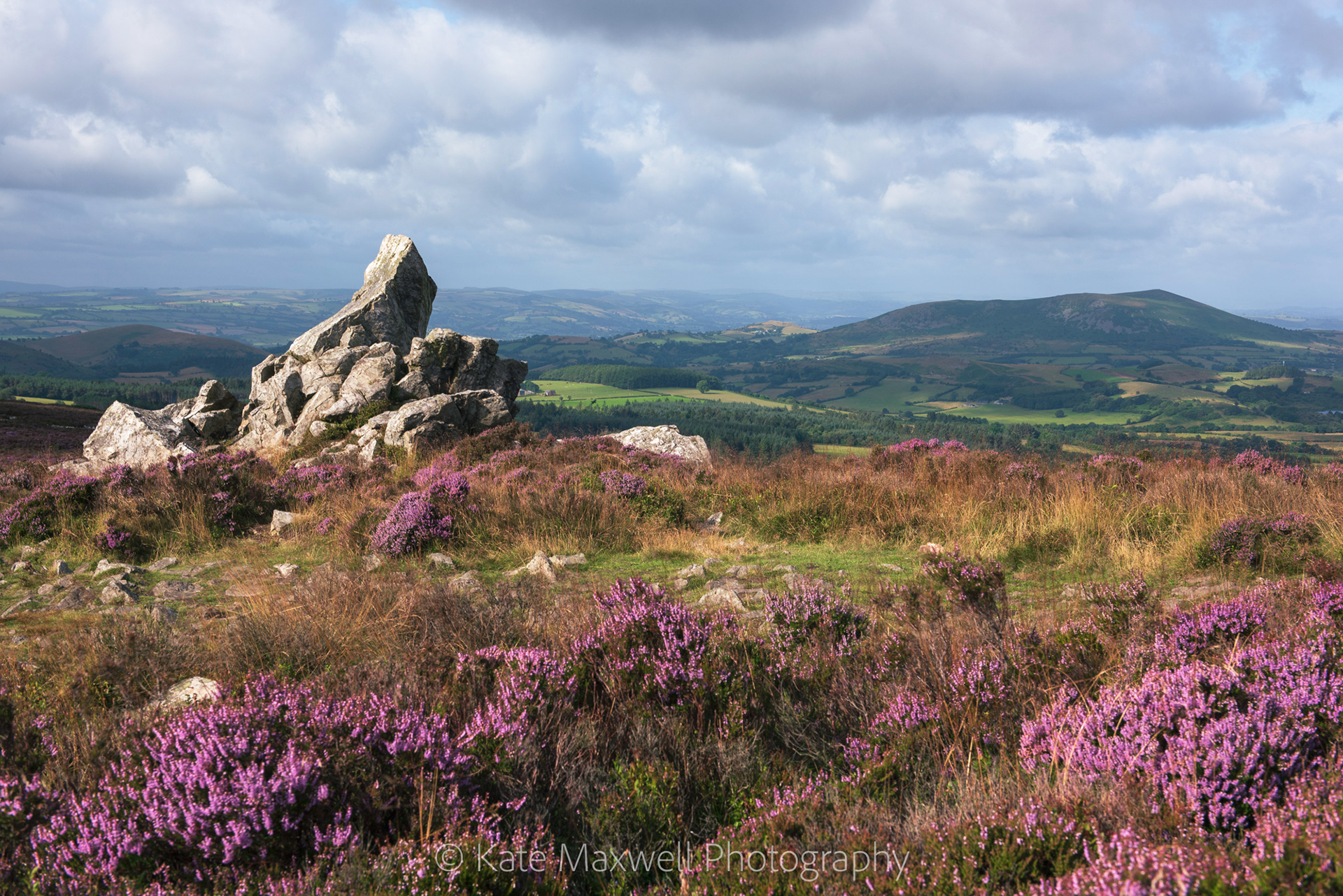 Stiperstones in summer