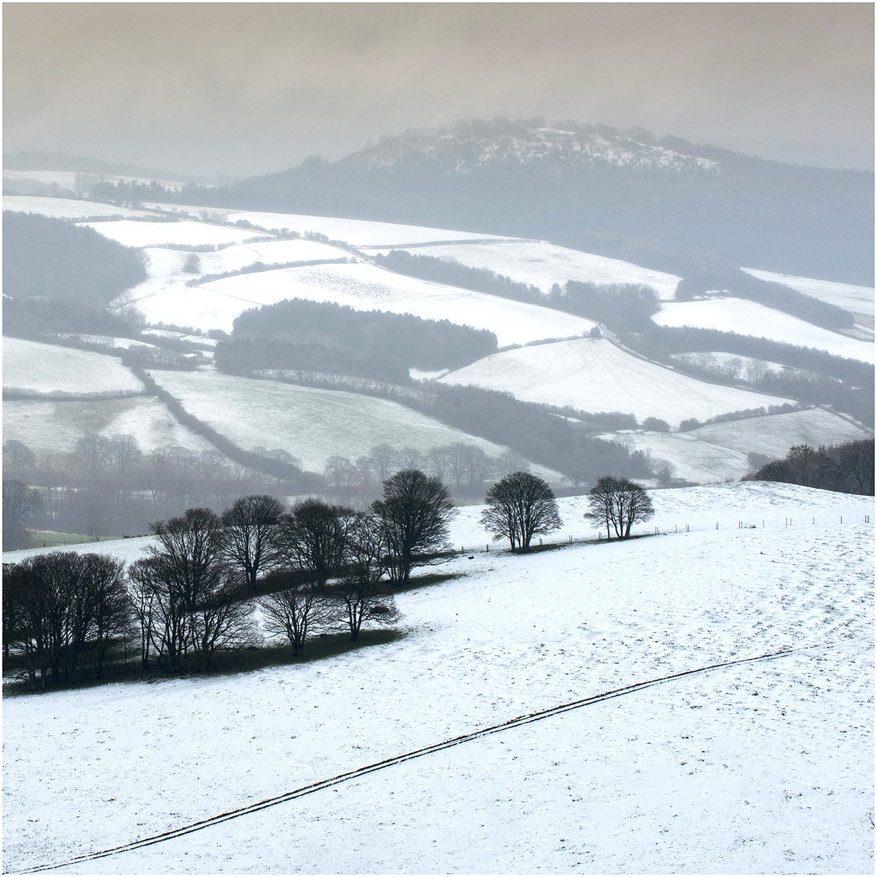 Towards Bury Ditches Hillfort