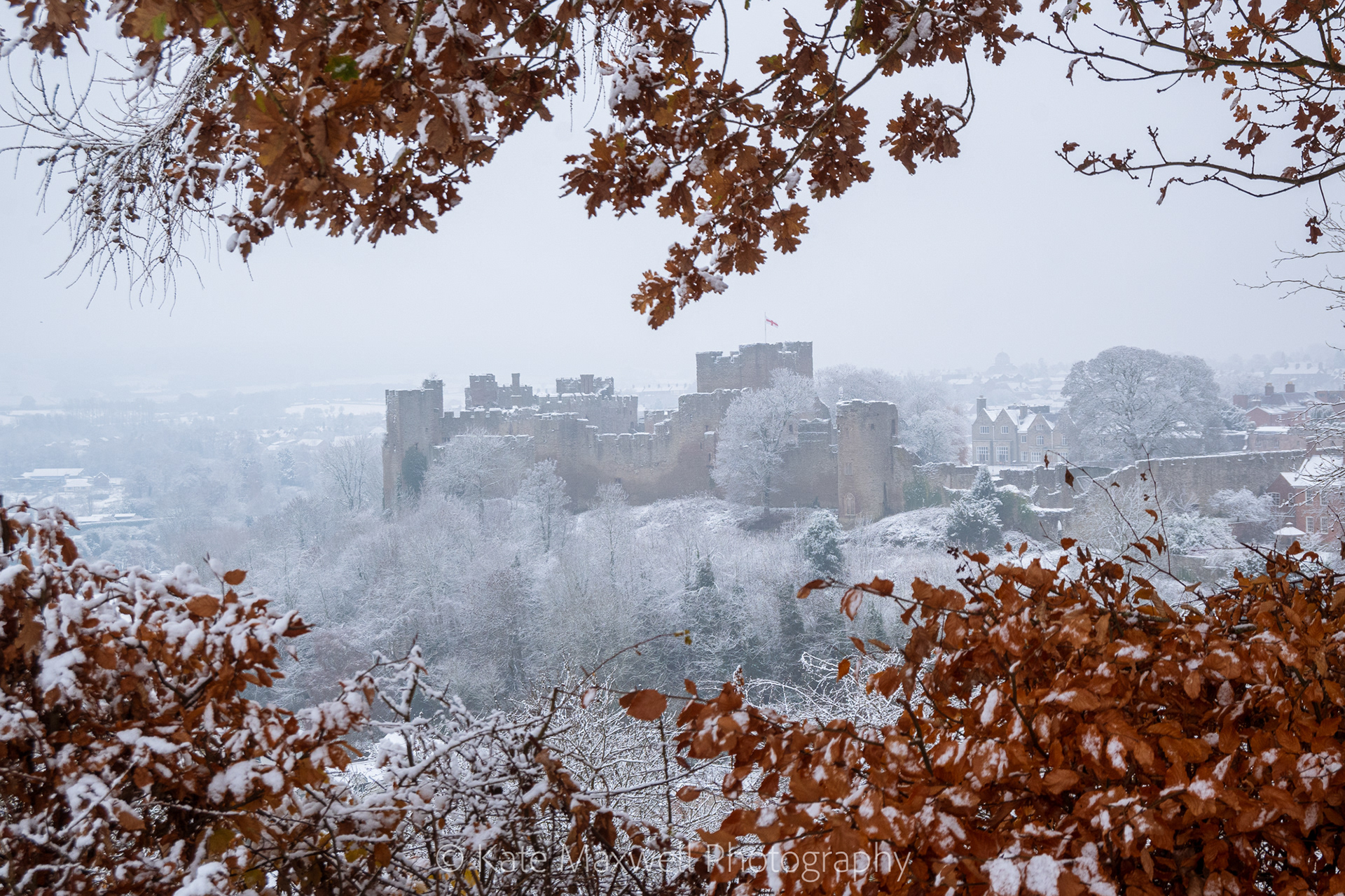 Ludlow castle