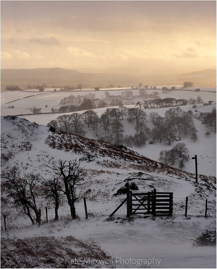 Walk on the Wild Side, Stretton Hills