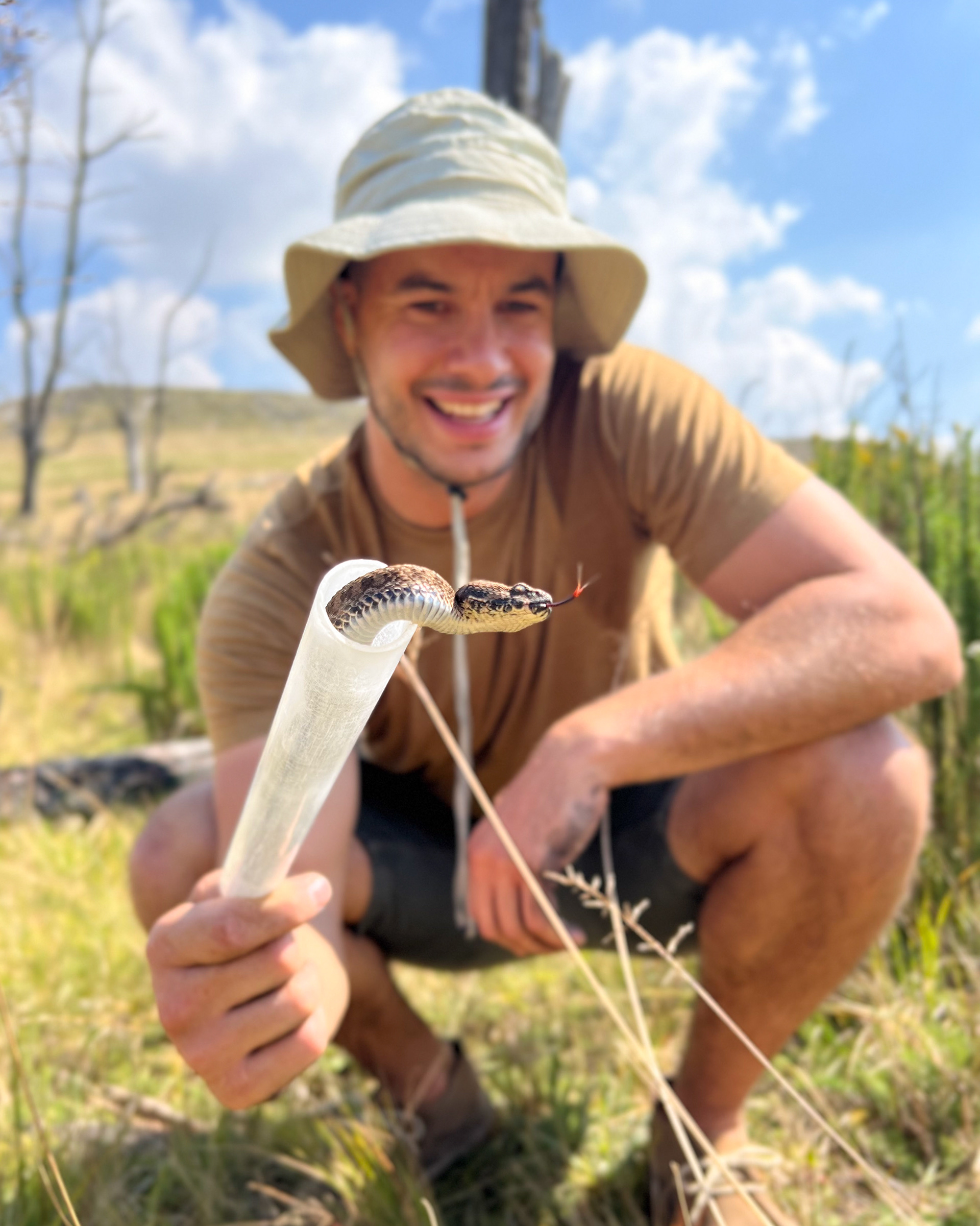 Berg adder, Mpumalanga, South Africa. Photo: Adriaan Jordaan