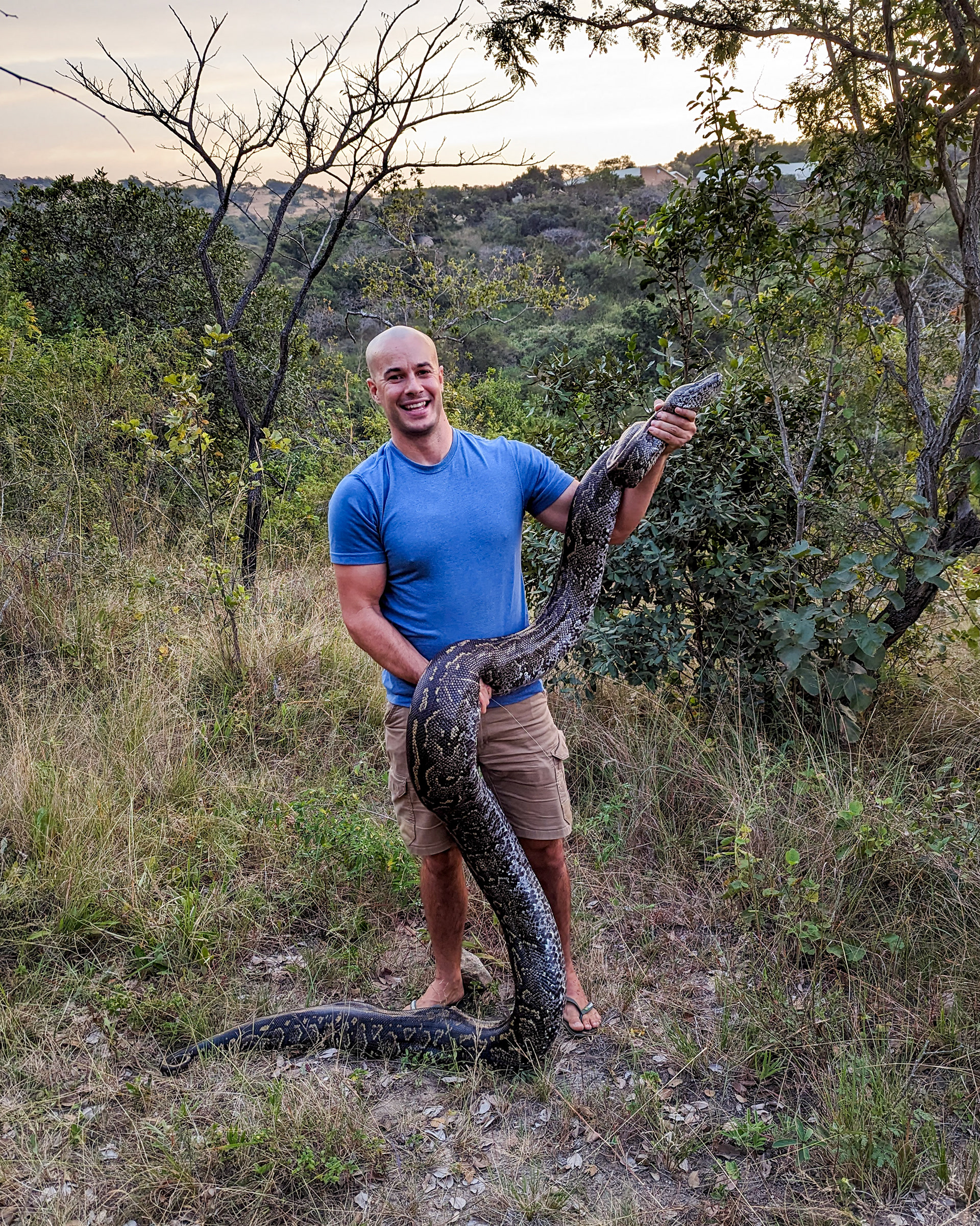 Southern African python, Mpumalanga, South Africa.