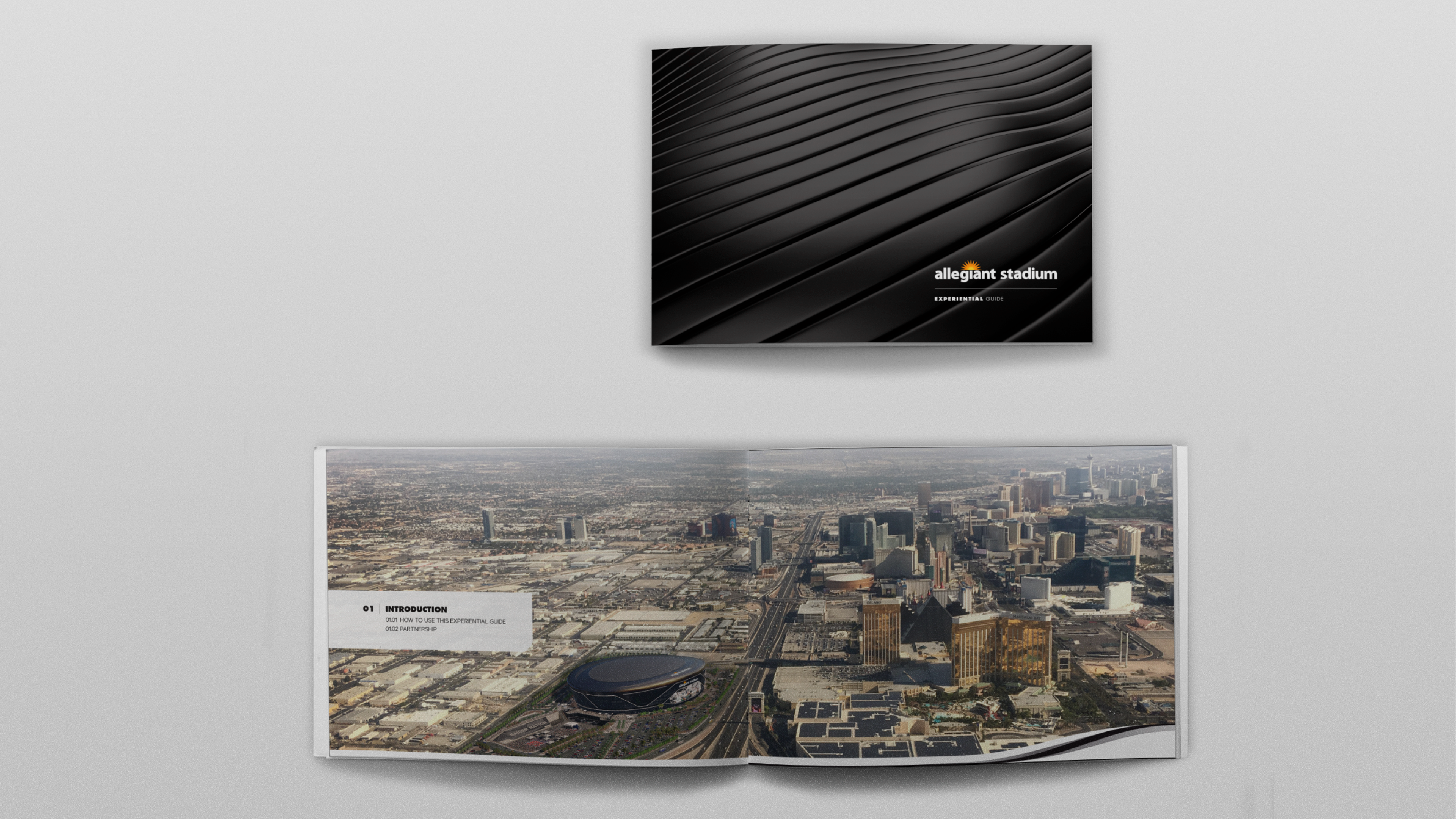 Allegiant Stadium Brand Standards