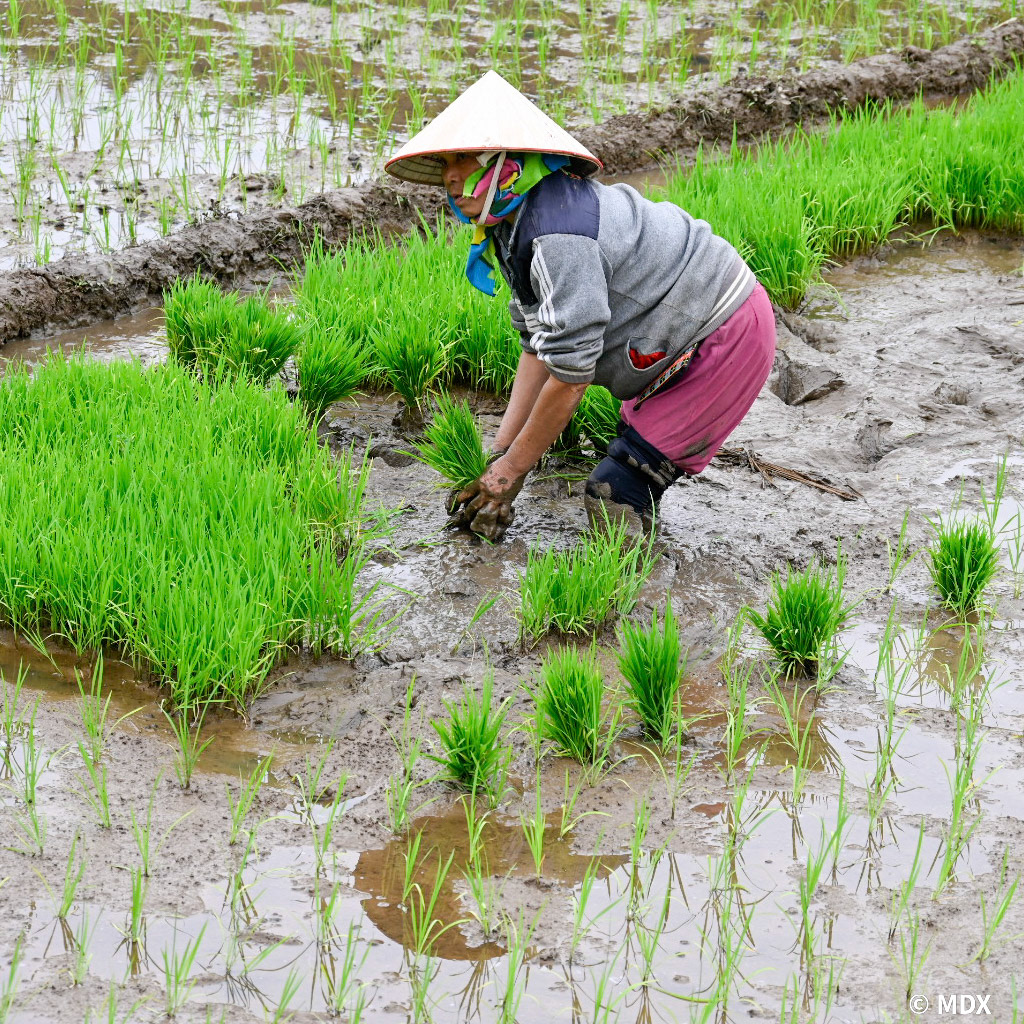 Maï Chau à Pu Luong