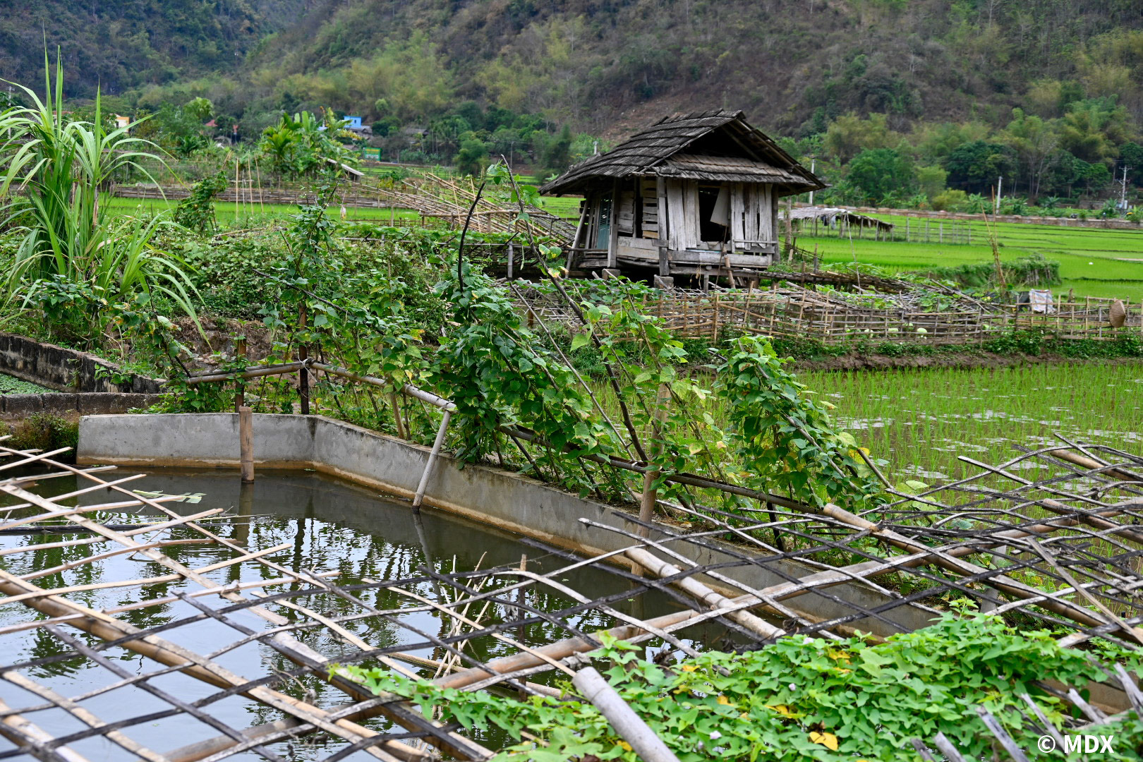 Maï Chau à Pu Luong
