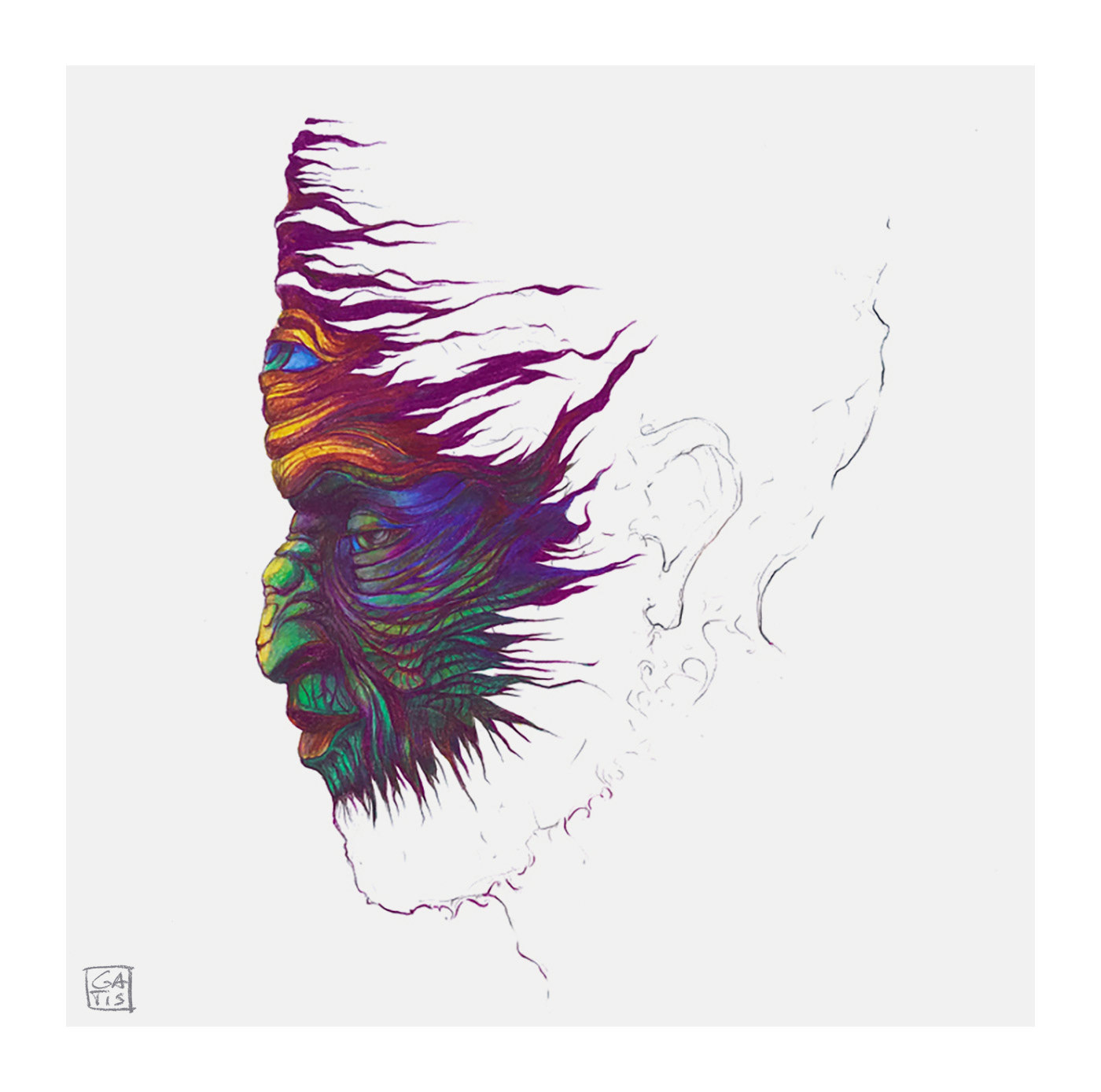 Gatis Cirulis, artist, Raven, drawing, eye, portrait