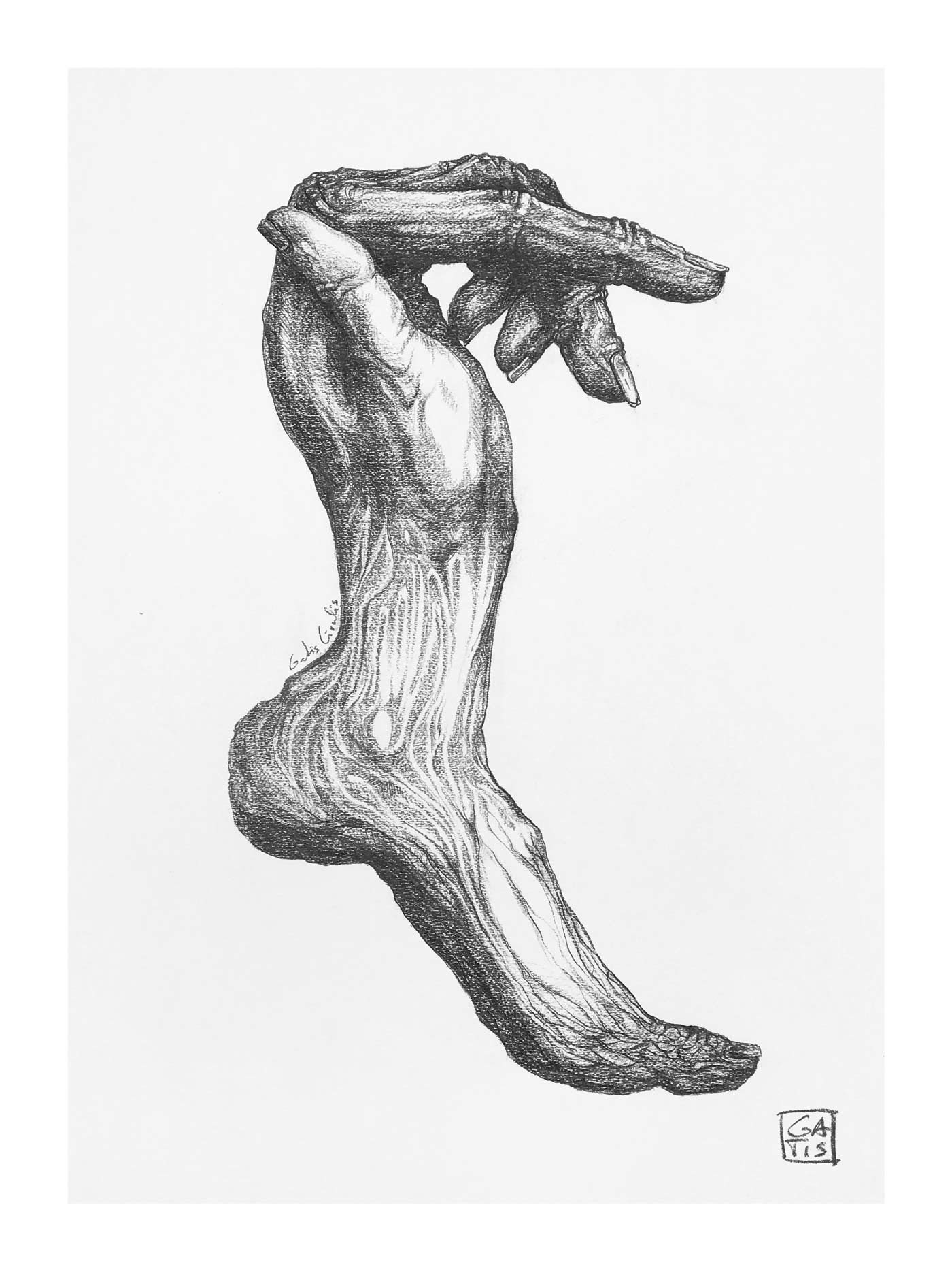 circus, Gatis Cirulis, surreal art, art, magical, fingers, hand, foot, pointing