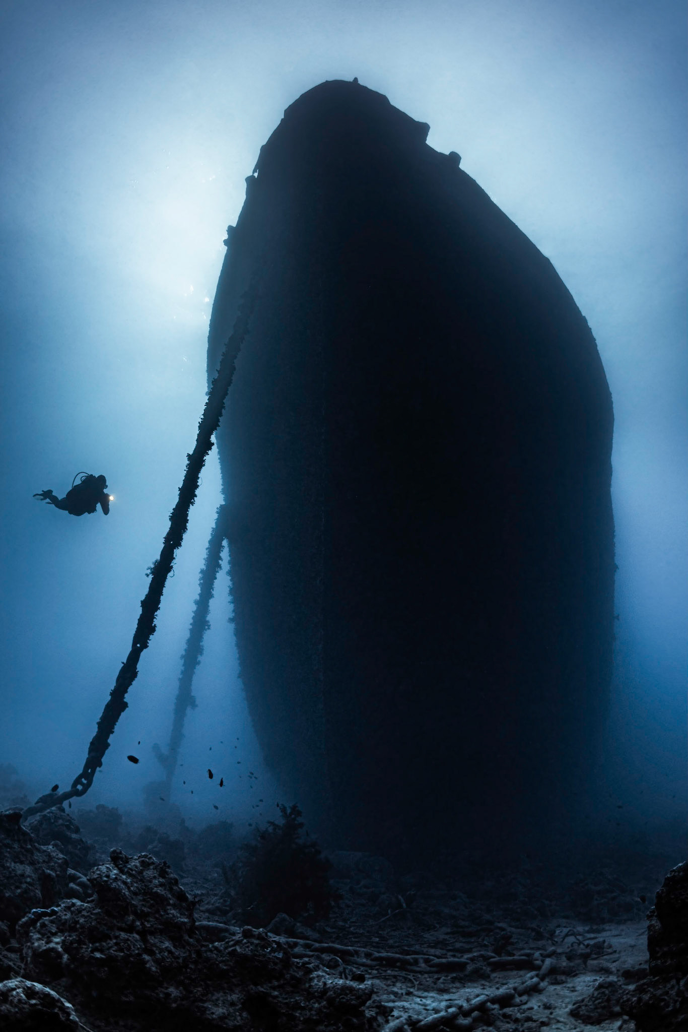 T H I S T L E G O R M