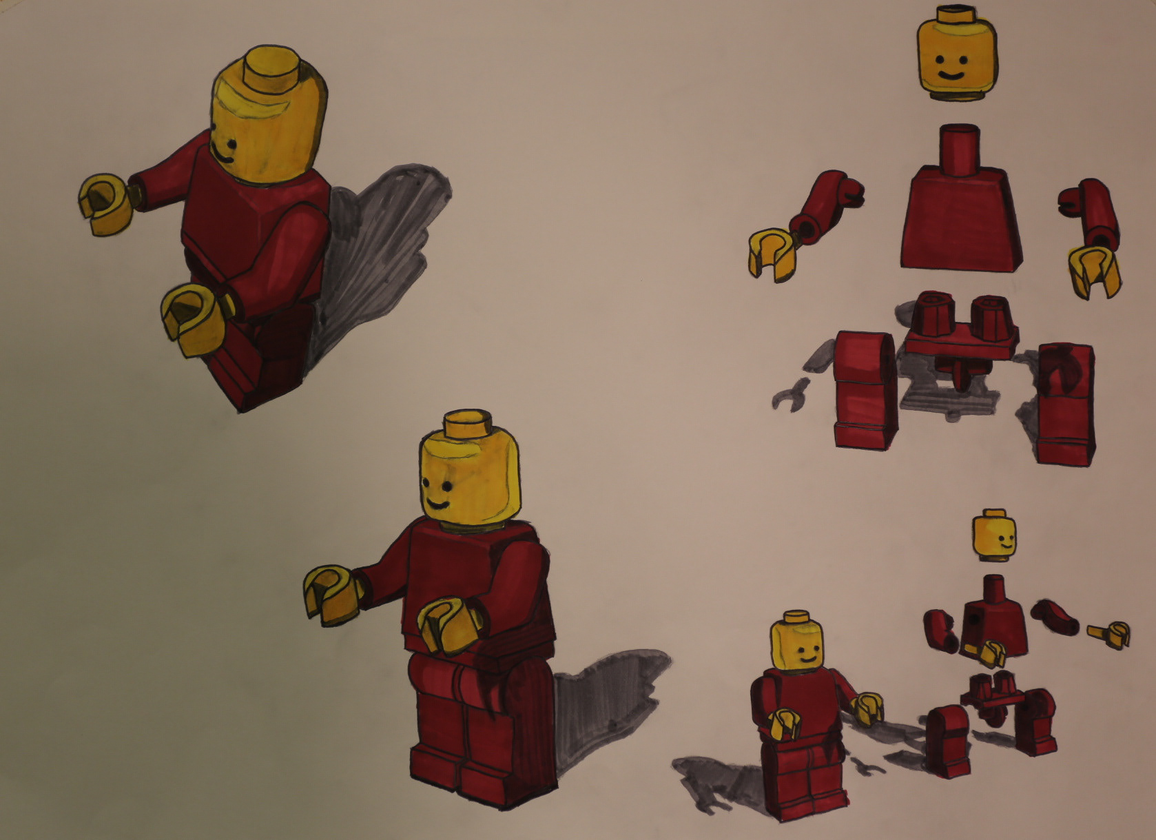 Sectional Planes & Exploded Views