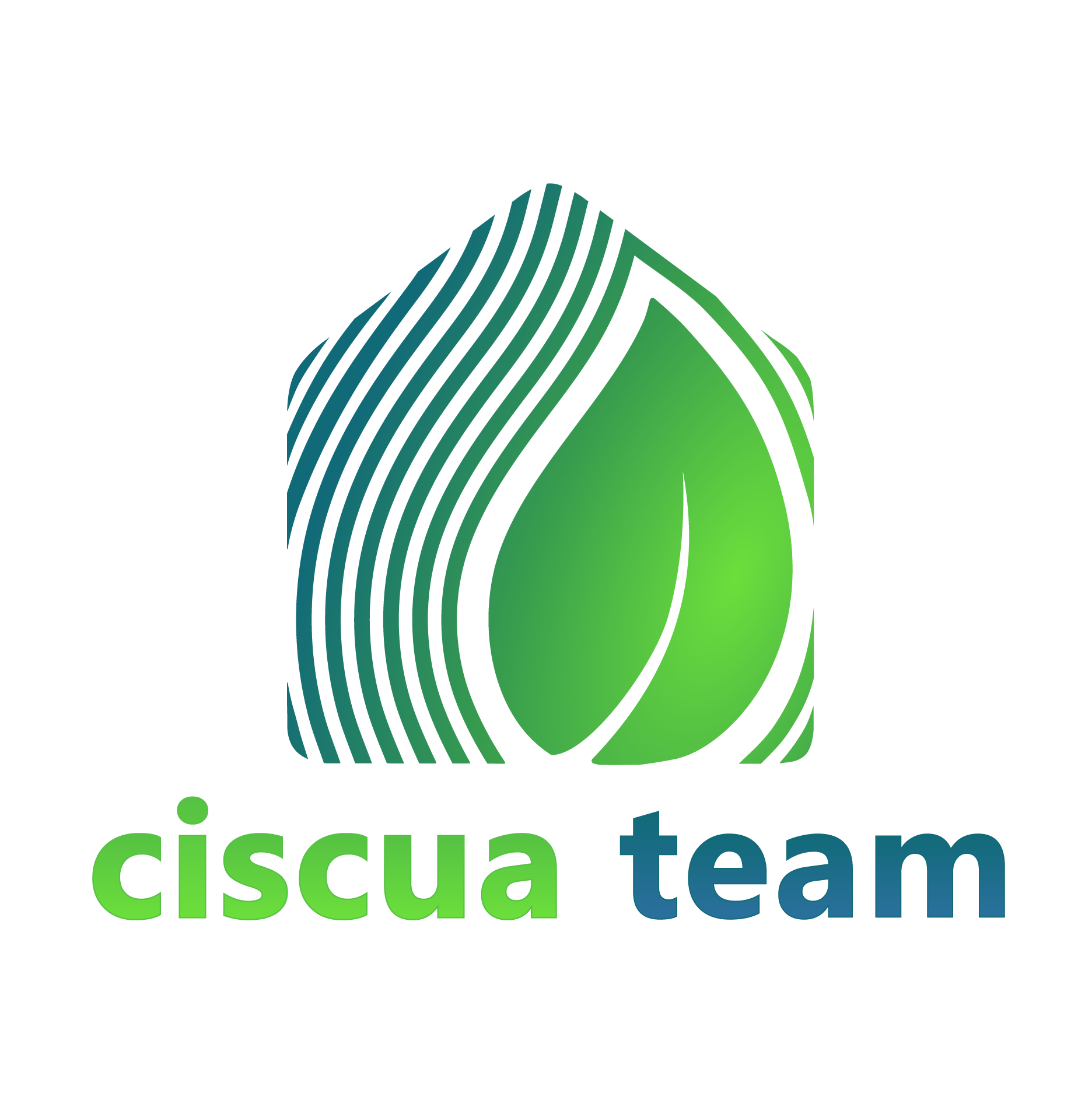 Final Ciscua Team Logo