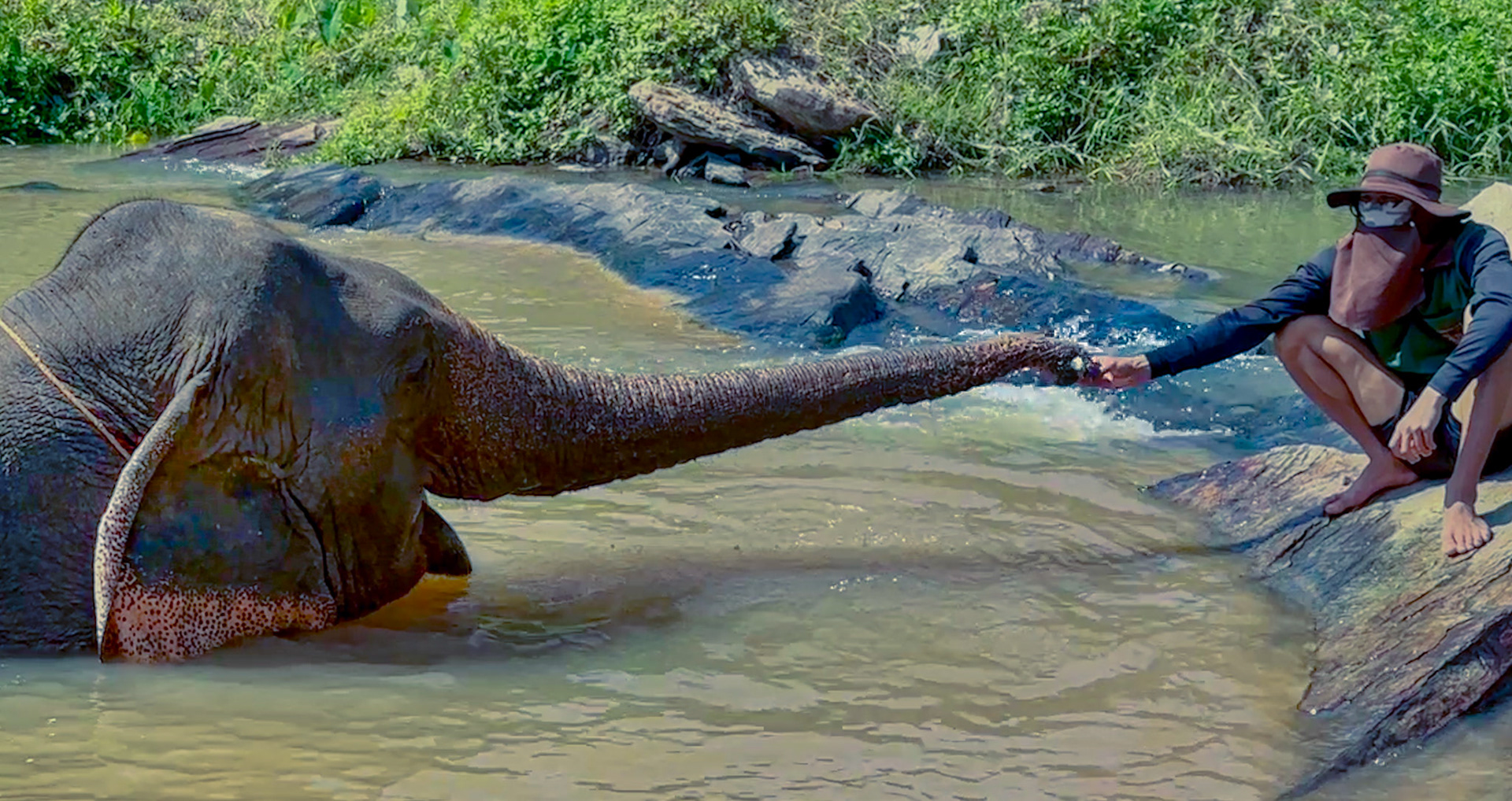 An elephant and his Mahut