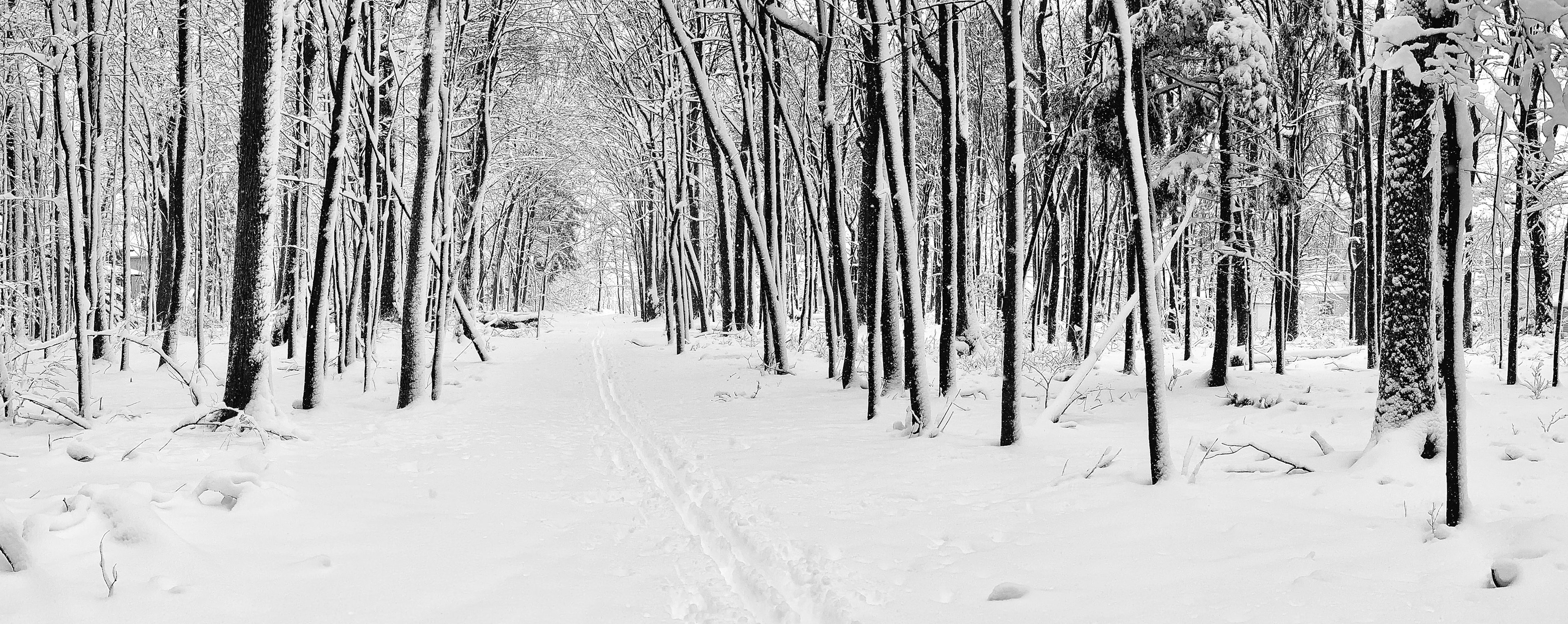 lazy canadian winters