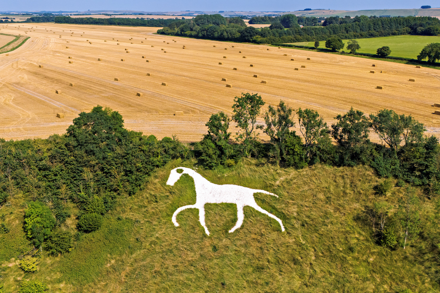 Wiltshire White Horse - Broad Town, Swindon