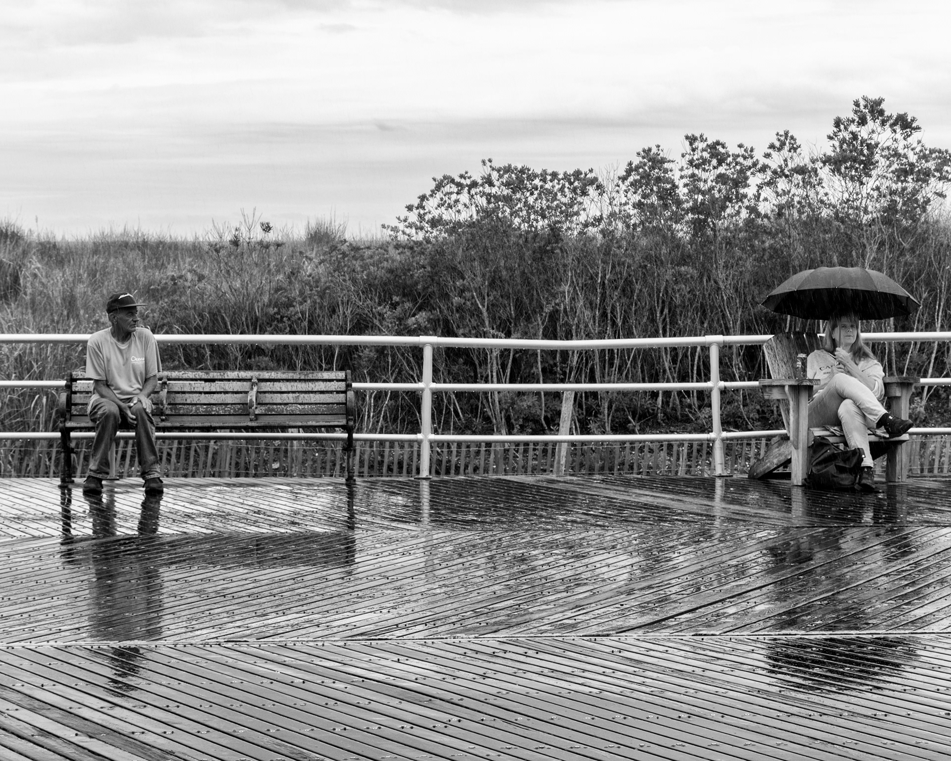 Singing In The Rain