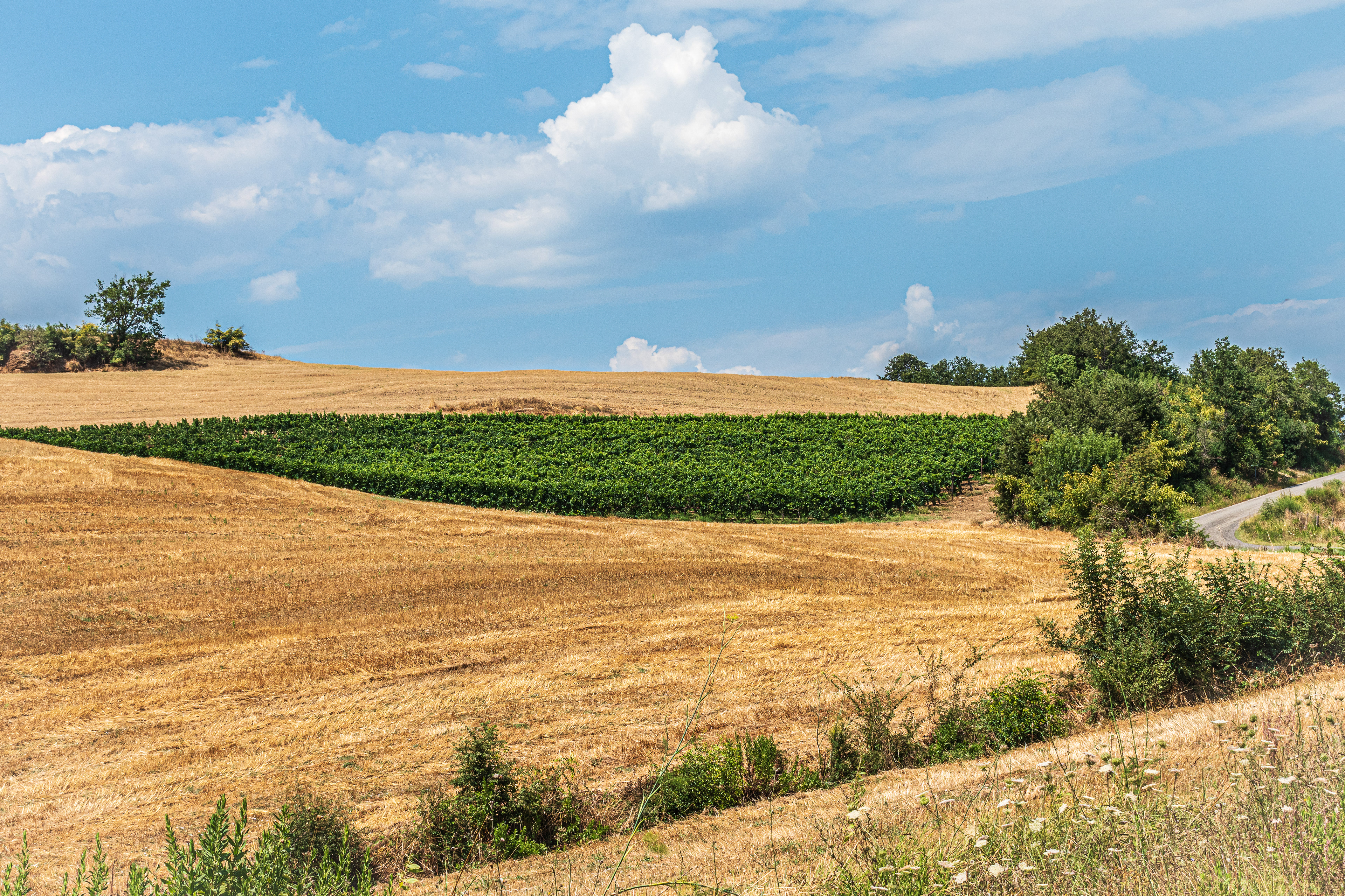 #1766 Countryside Tuscany Italy