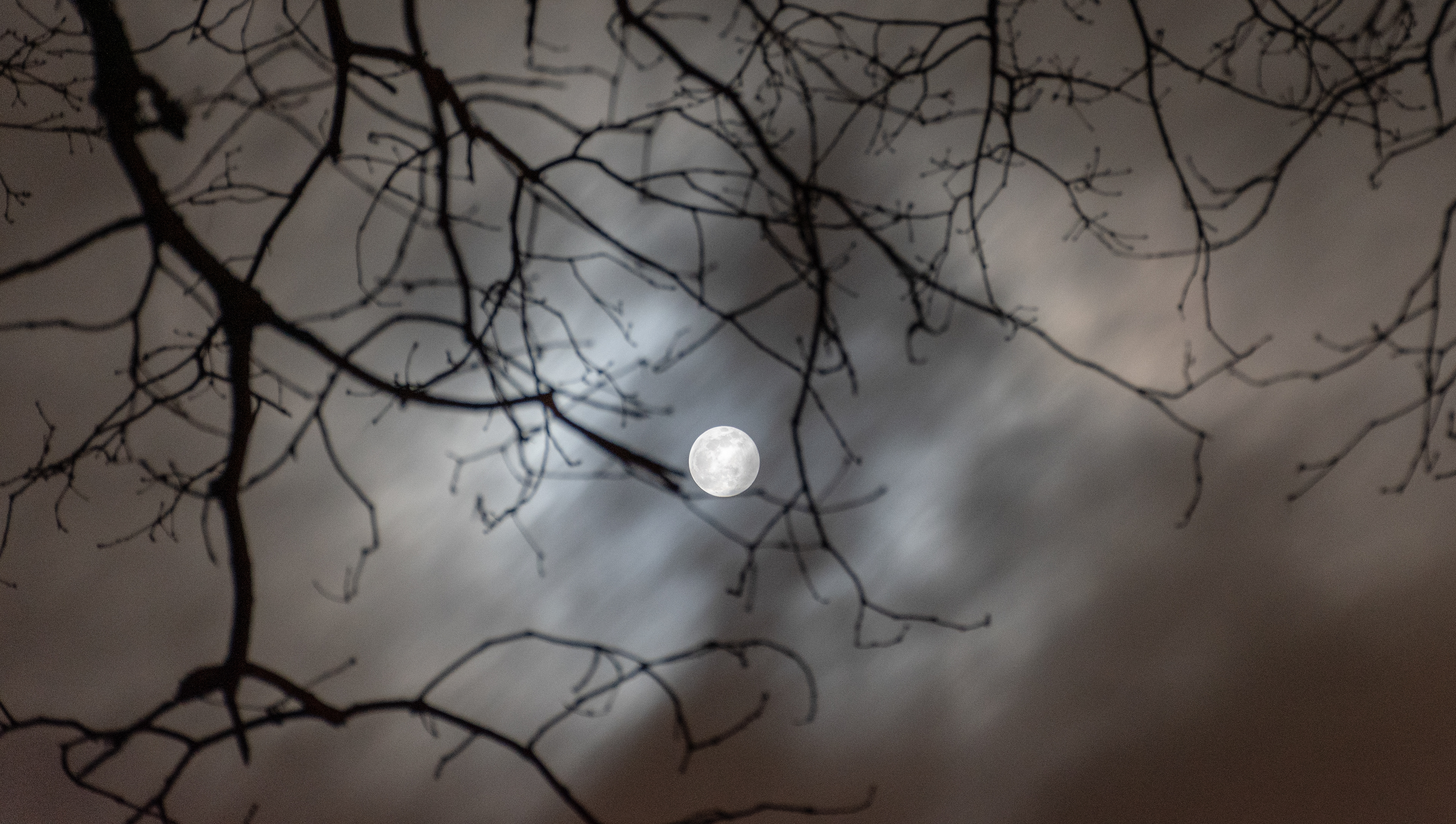 #5209 - Full Moon on a Winter Night