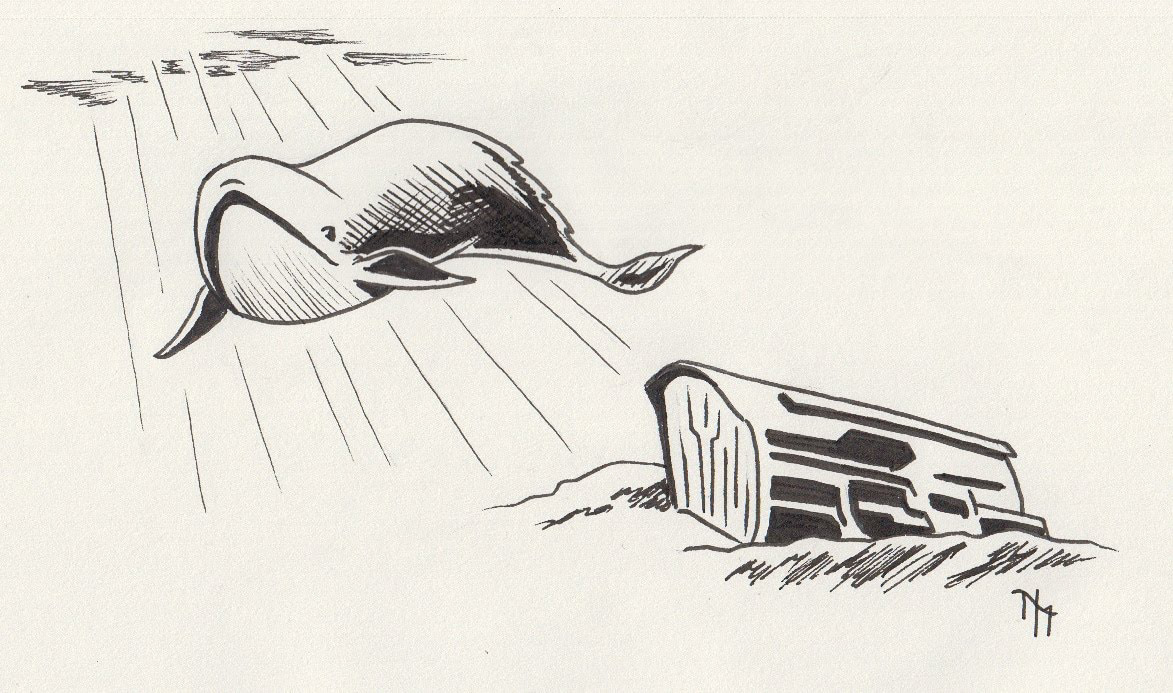 Whale - Inktober - Ink on paper